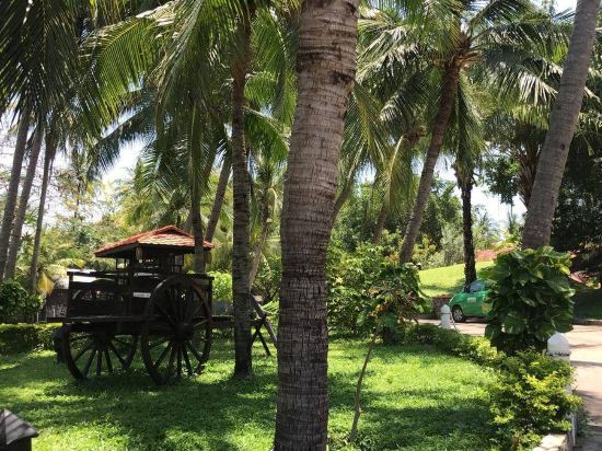 Фото Ocean Star Resort