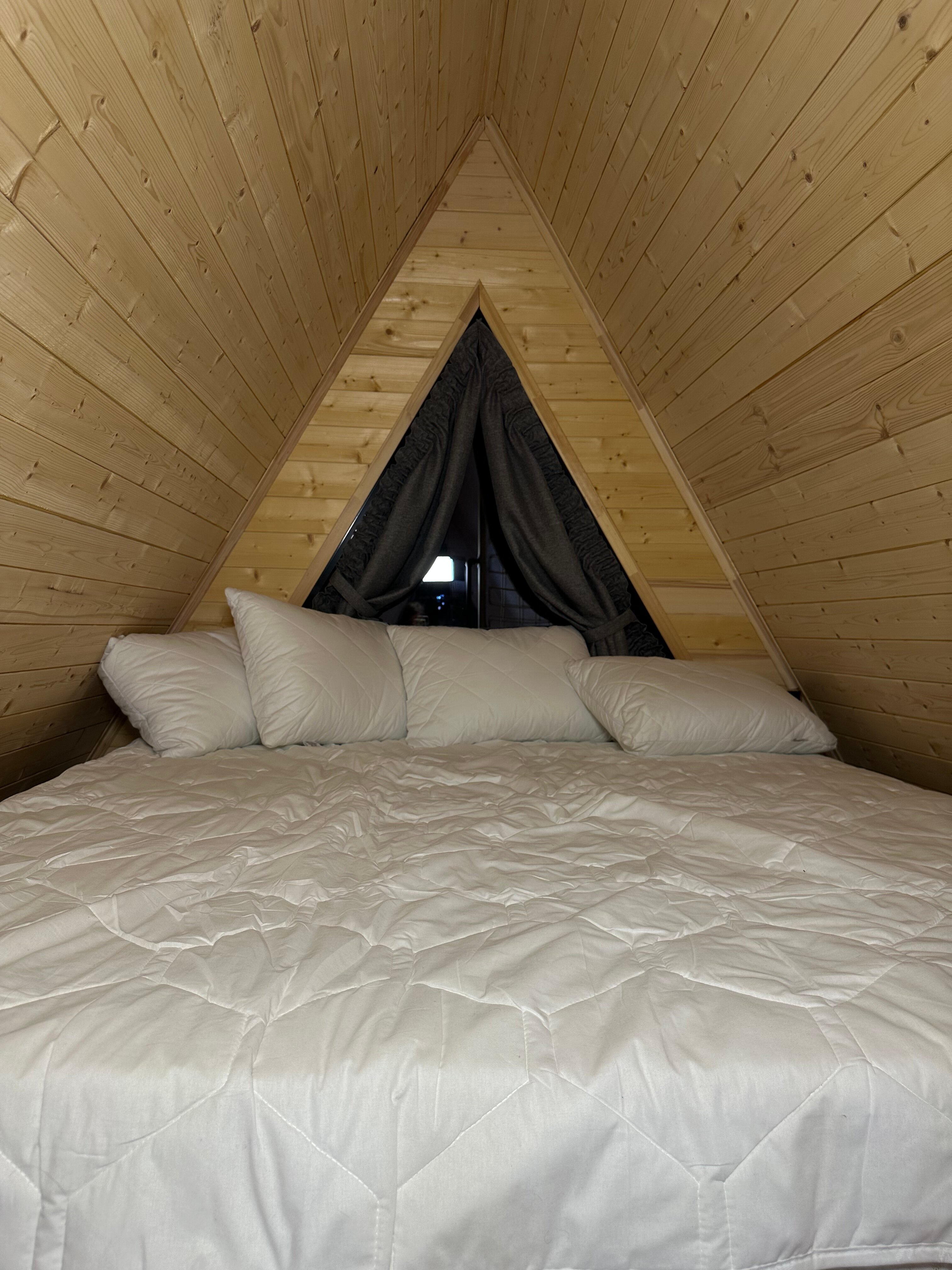 Фото Караси