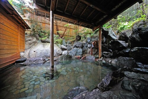 Гостиница Ryokan Tanigawa