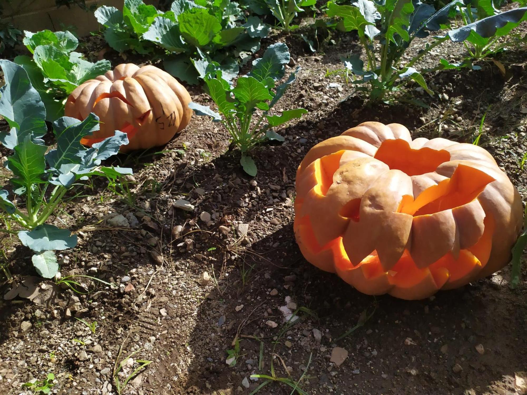 Фото Barnet House Lamezia