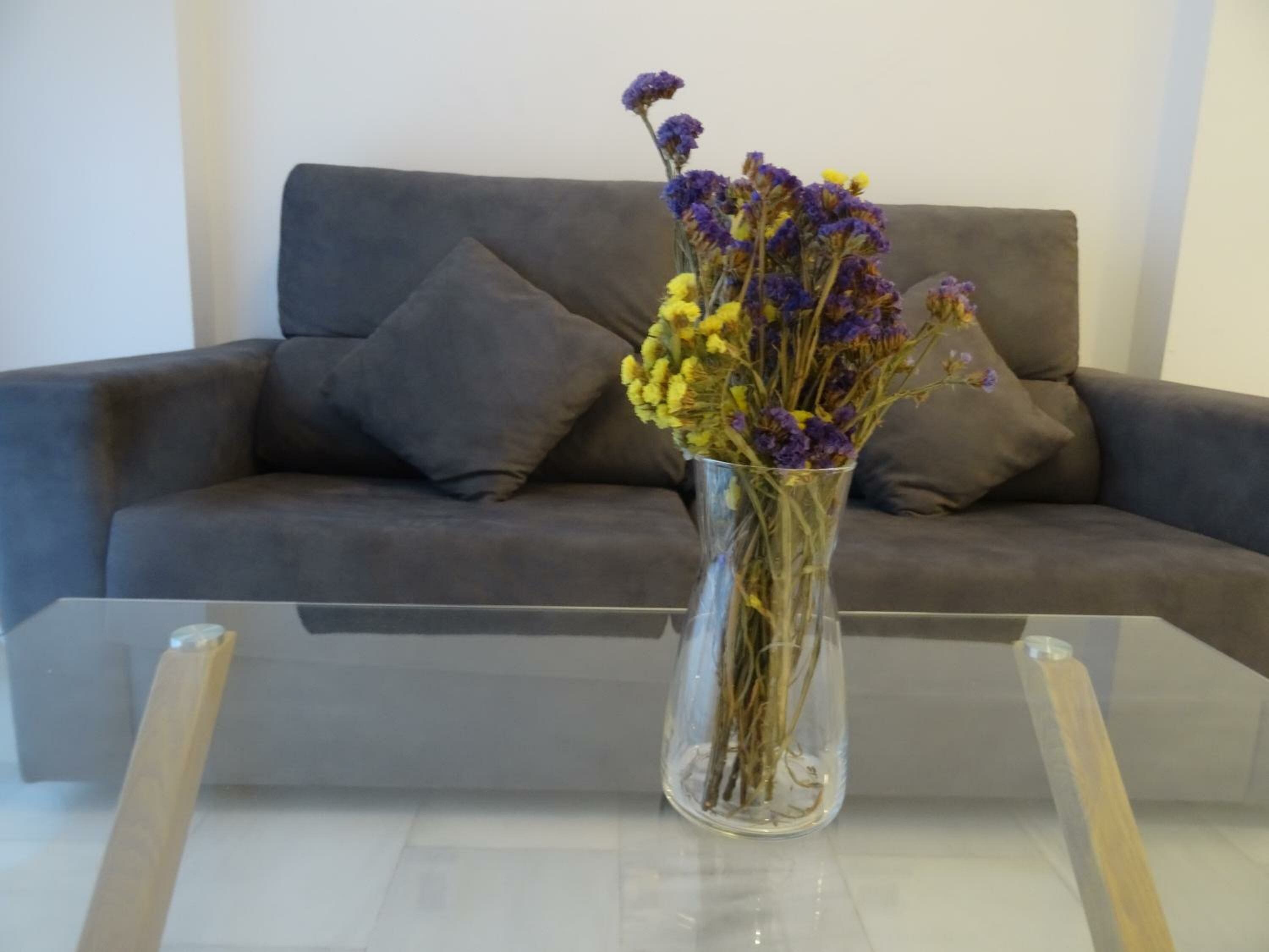 Фото Domus Apartamentos Granada