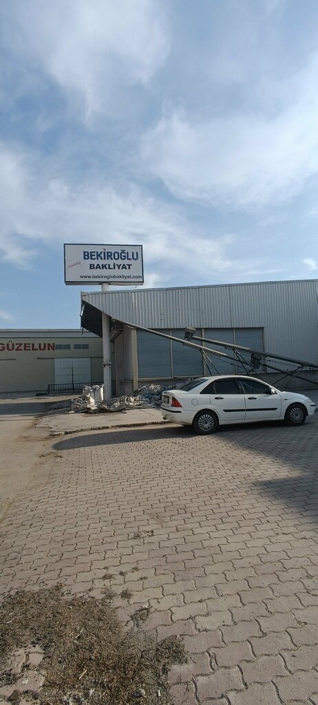 Agricultural goods Bekiroglu Pulses, Konya, photo
