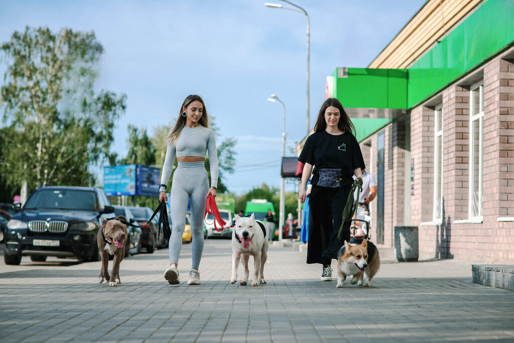 Zoo center SkyDog School, Vladimir, photo