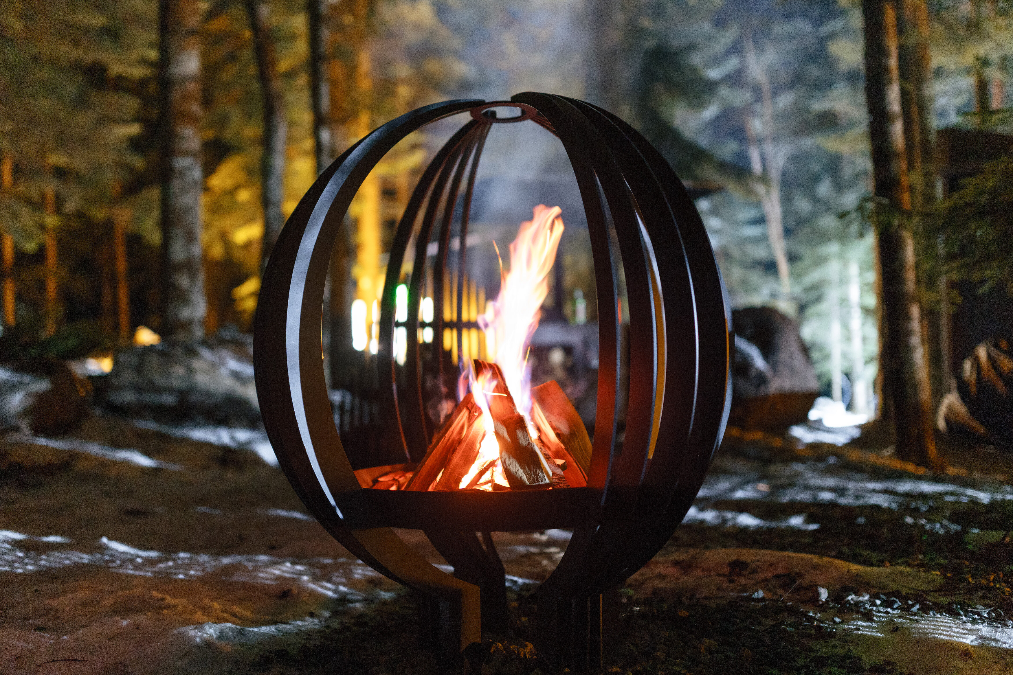 Фото Magic Forest