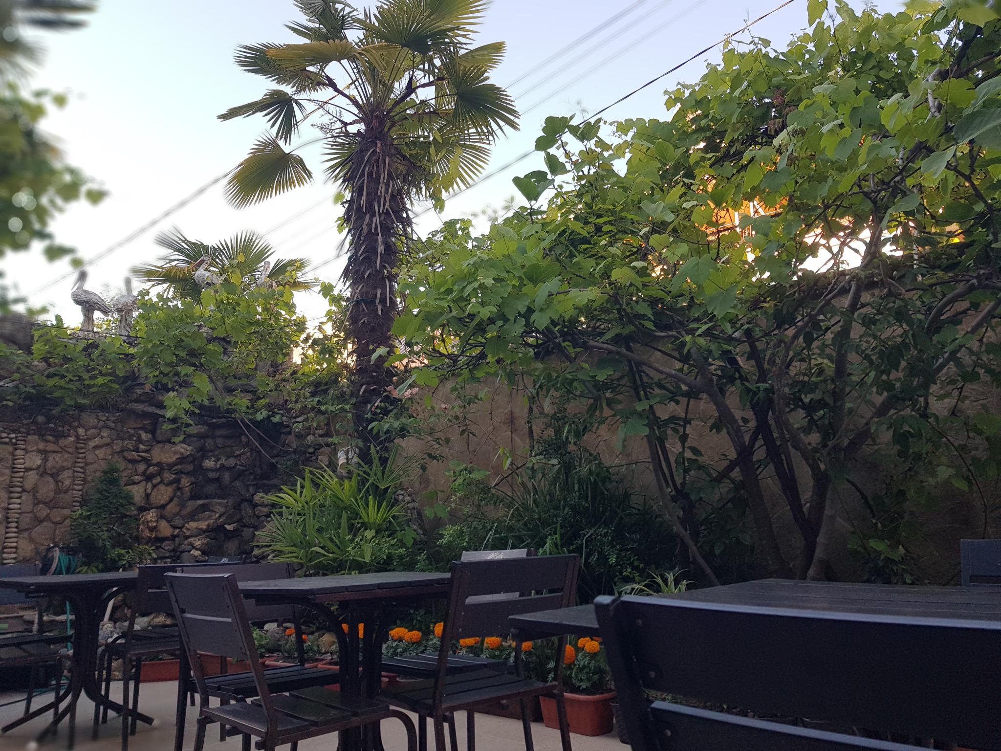 Фото ЮгАделия