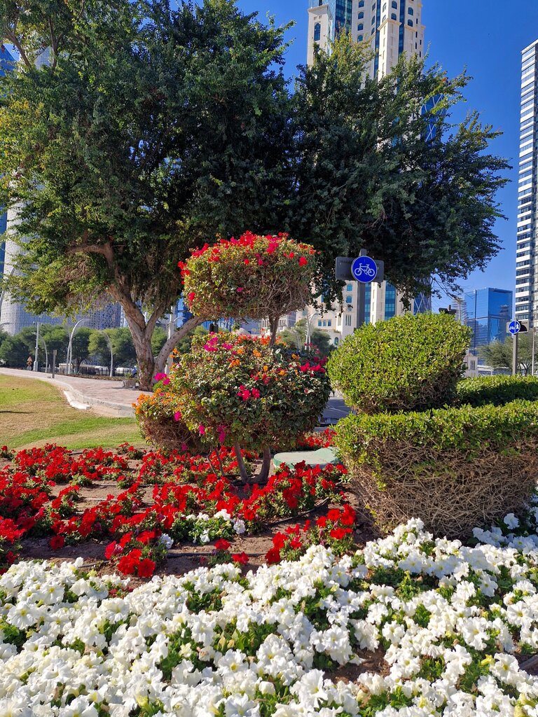 Park Sheraton Park, Doha, photo