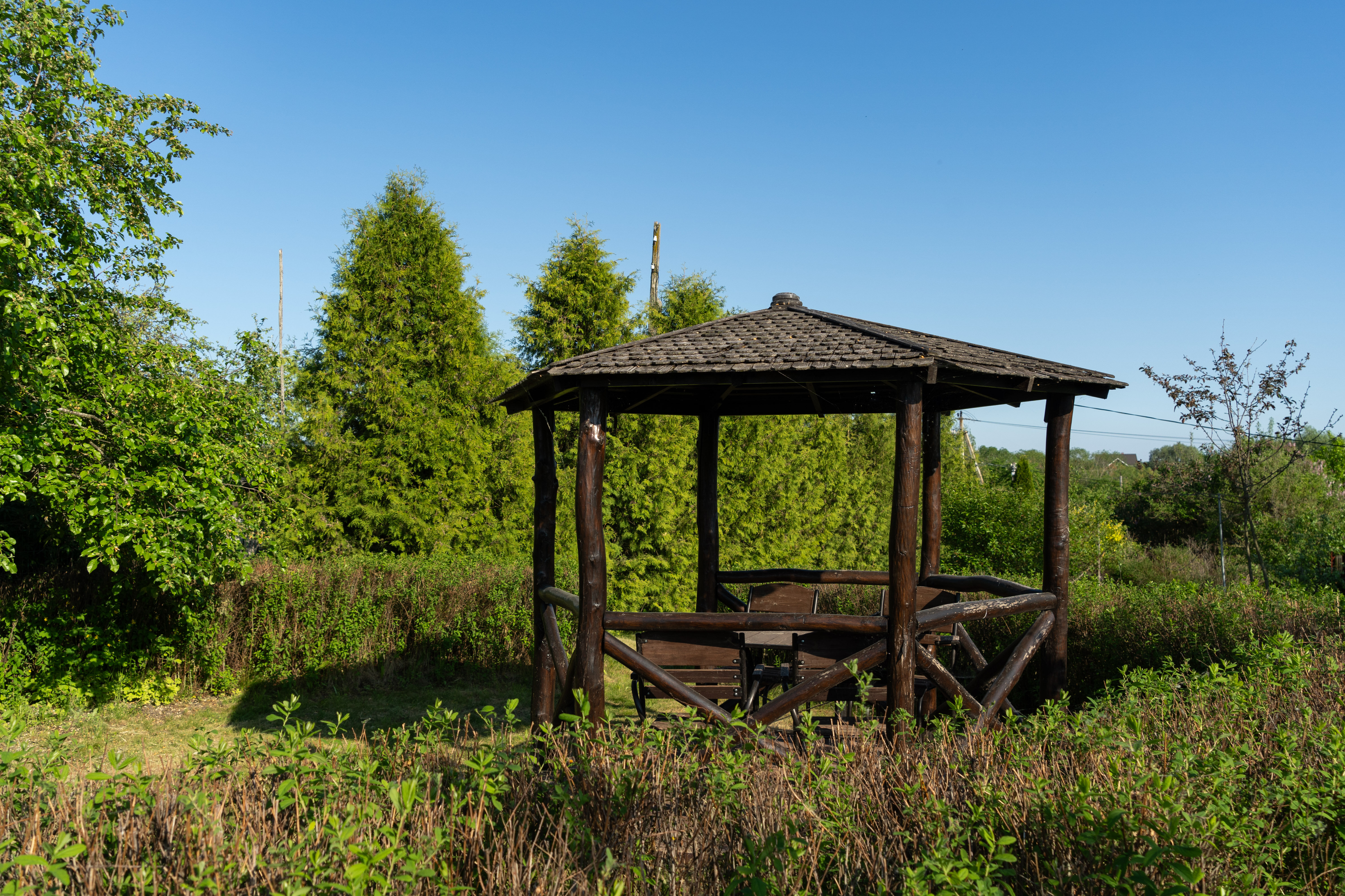 Фото Спасовка