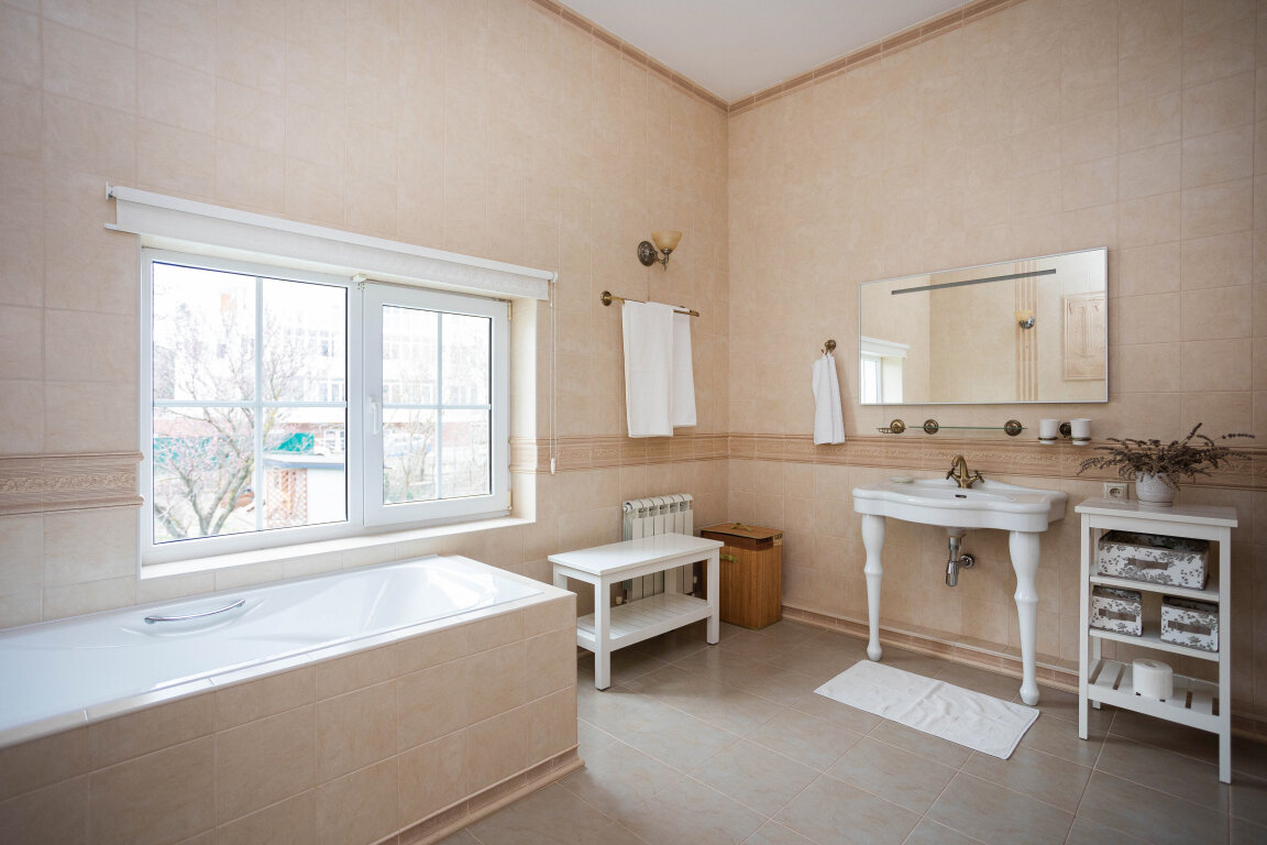 Фото Серый кот