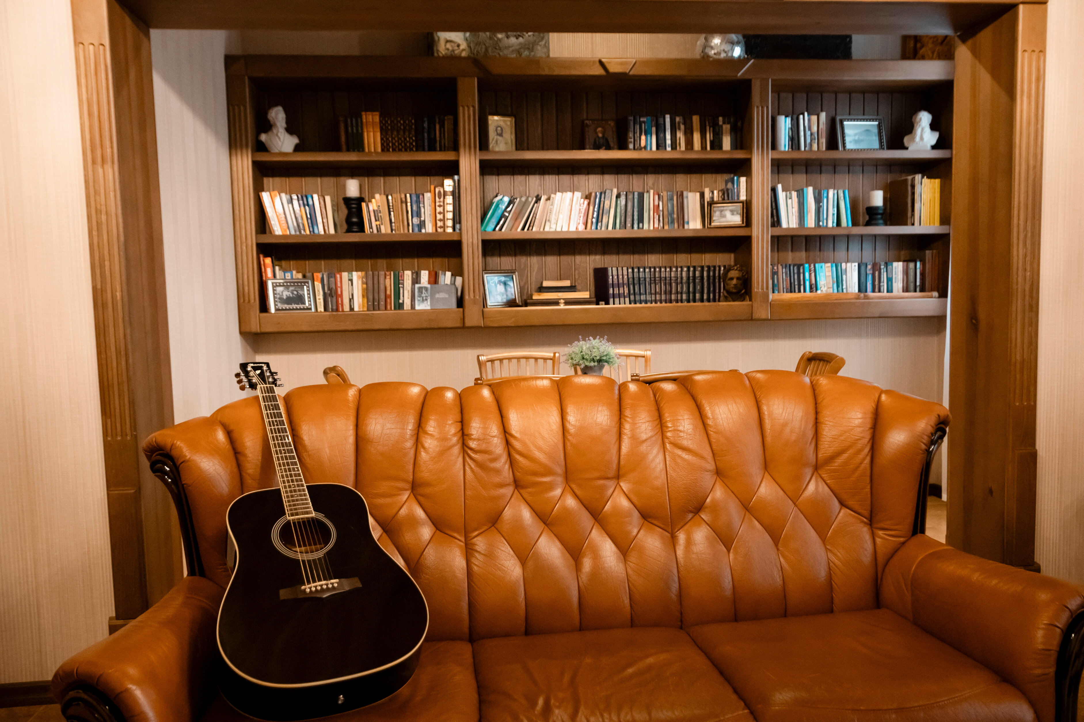 Фото Леонтоподиум