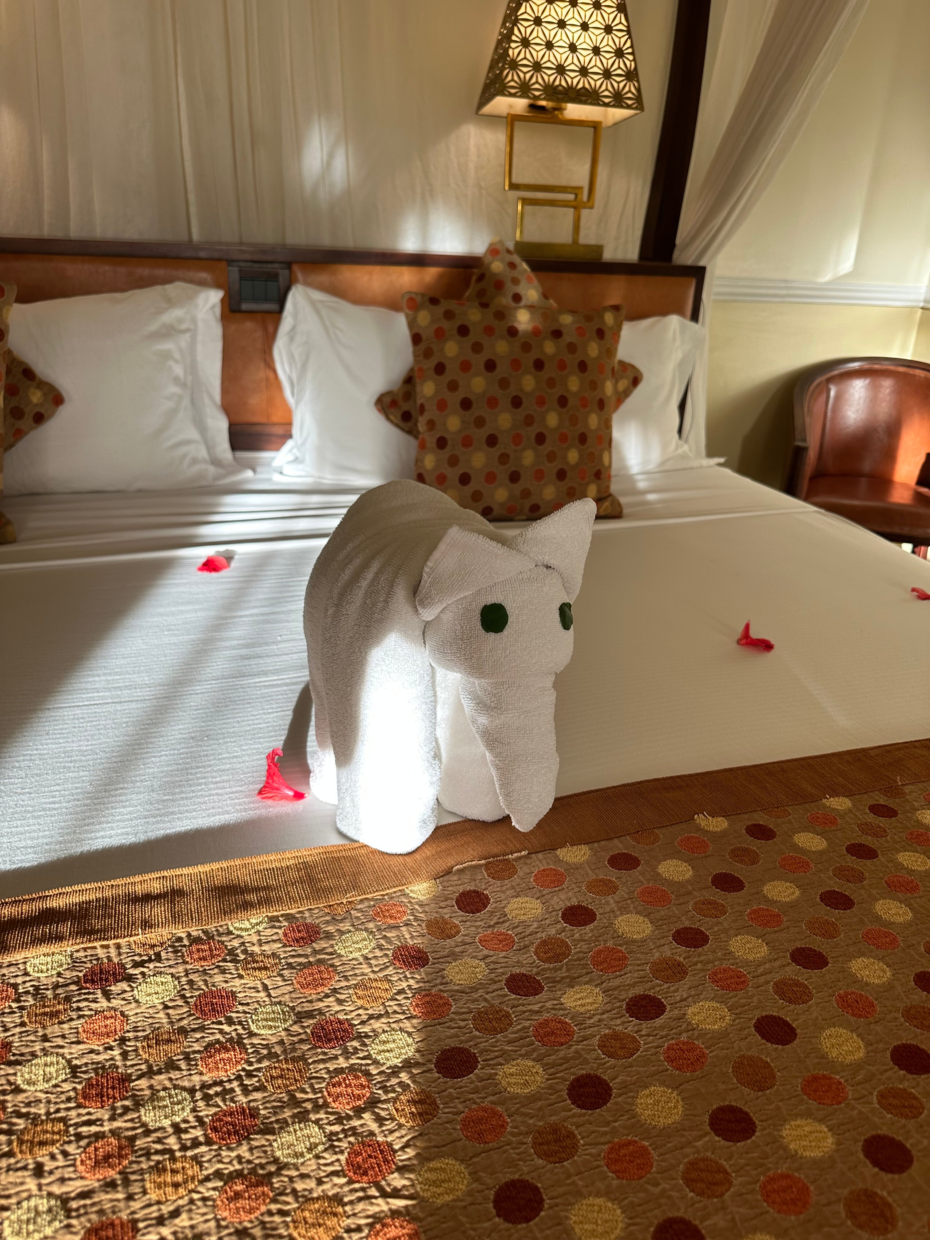 Фото Hotel Riu Palace Zanzibar