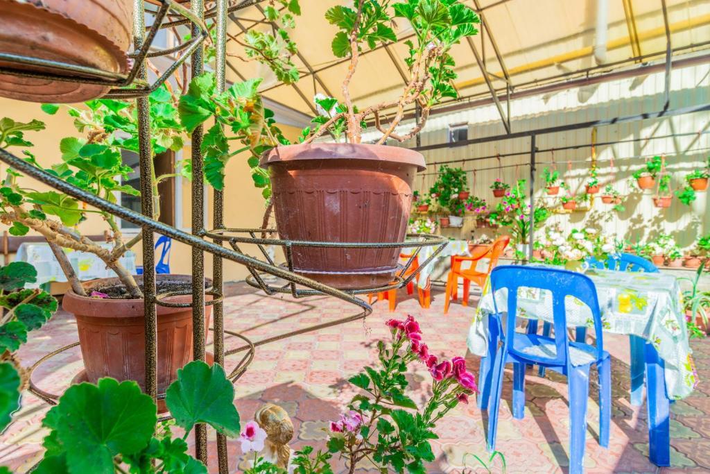 Фото У Маргариты