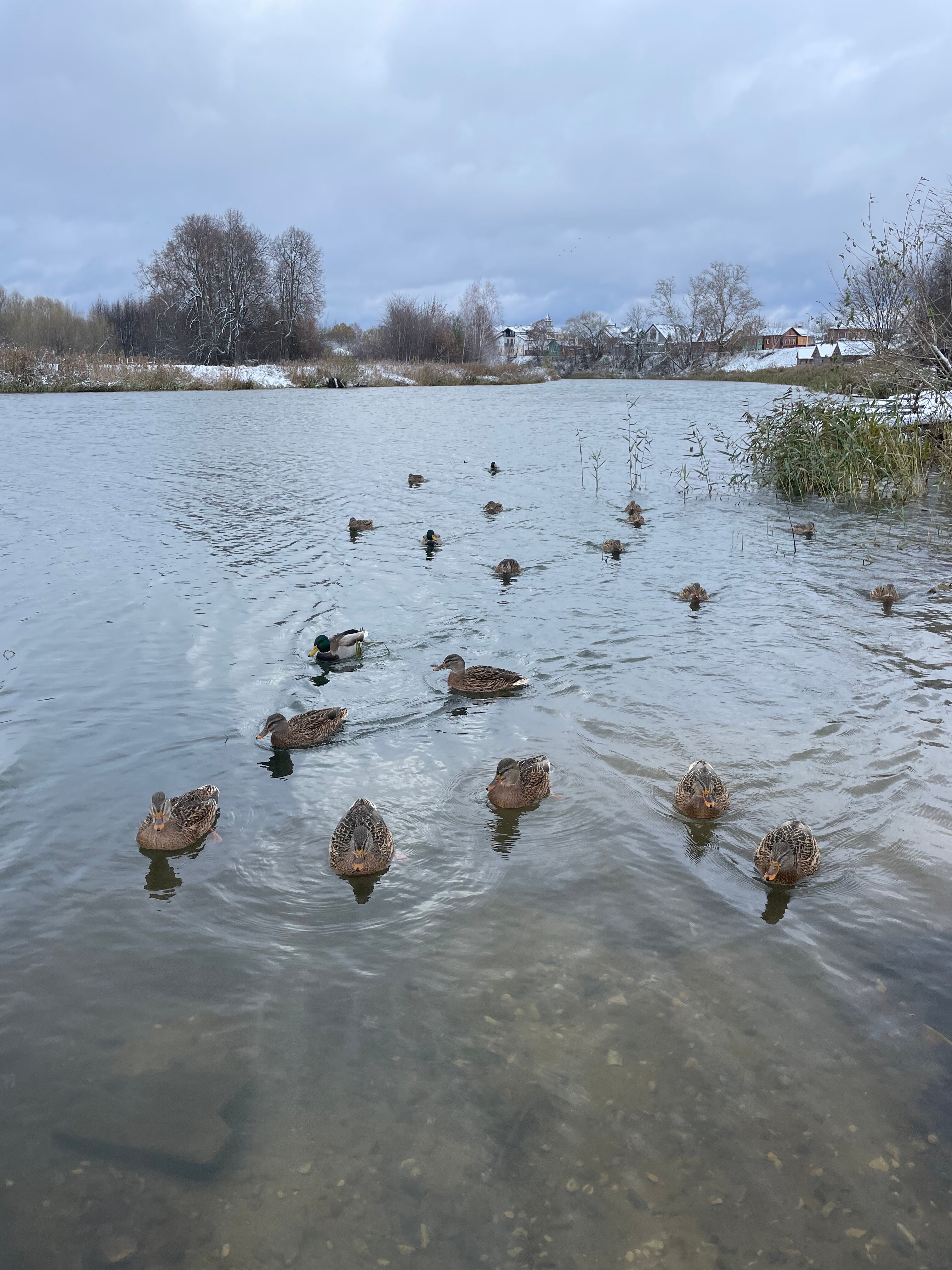 Фото 12 Месяцев