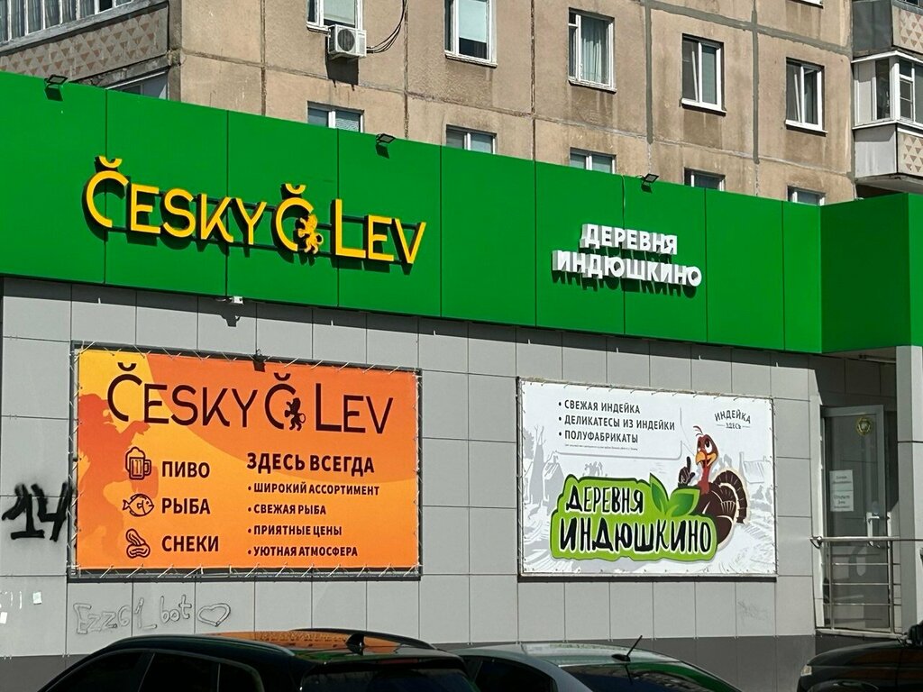 Bar, pub Cesky Lev, Orel, photo