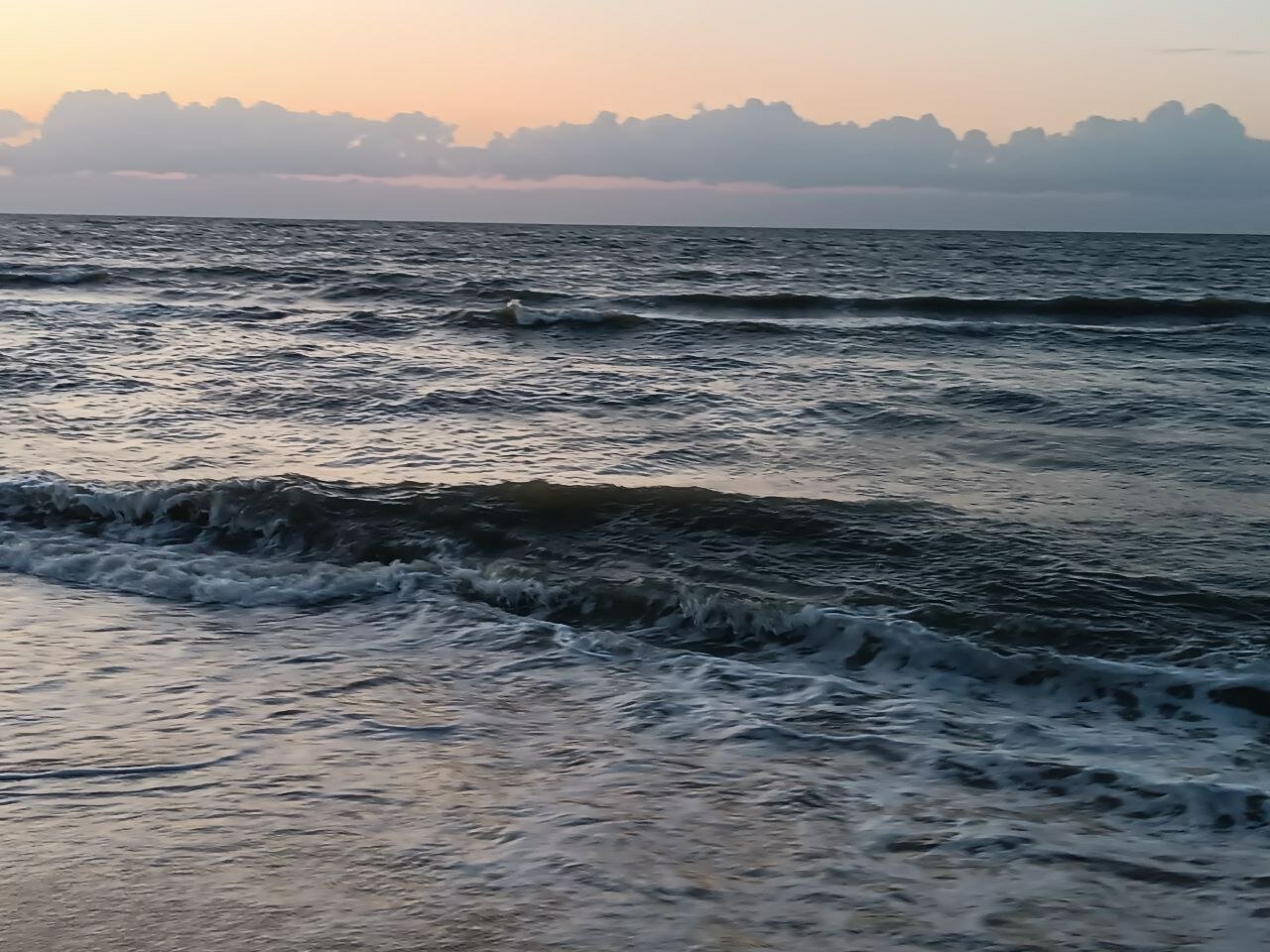 Фото Форест