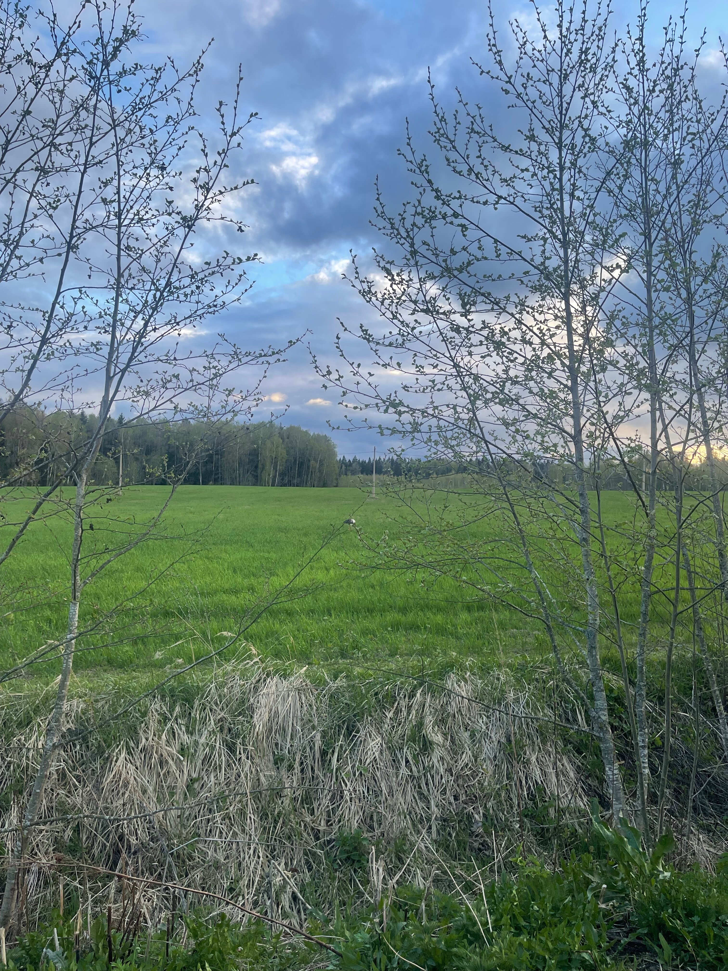 Фото Романов дача