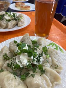 Pelmennaya (Tver Region, Vyshnevolotskiy munitsipalny okrug, selo Kolomno), cafe
