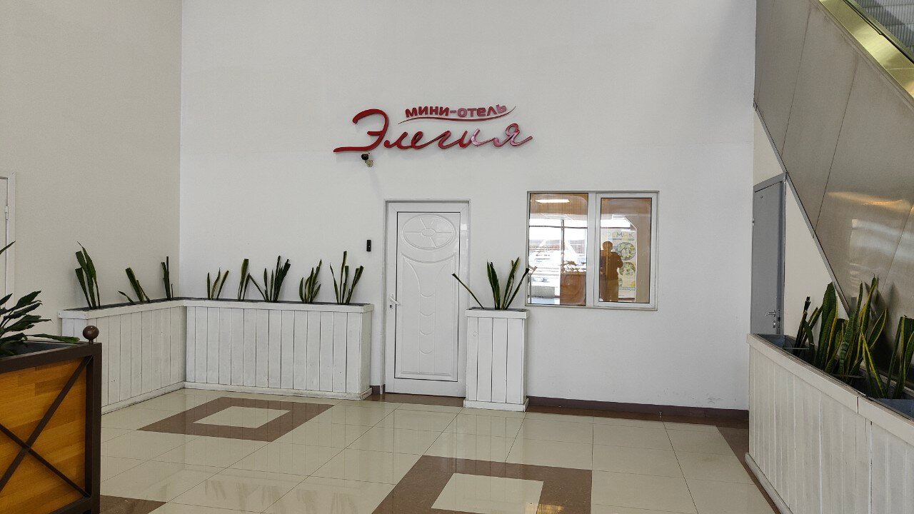 Фото Элегия