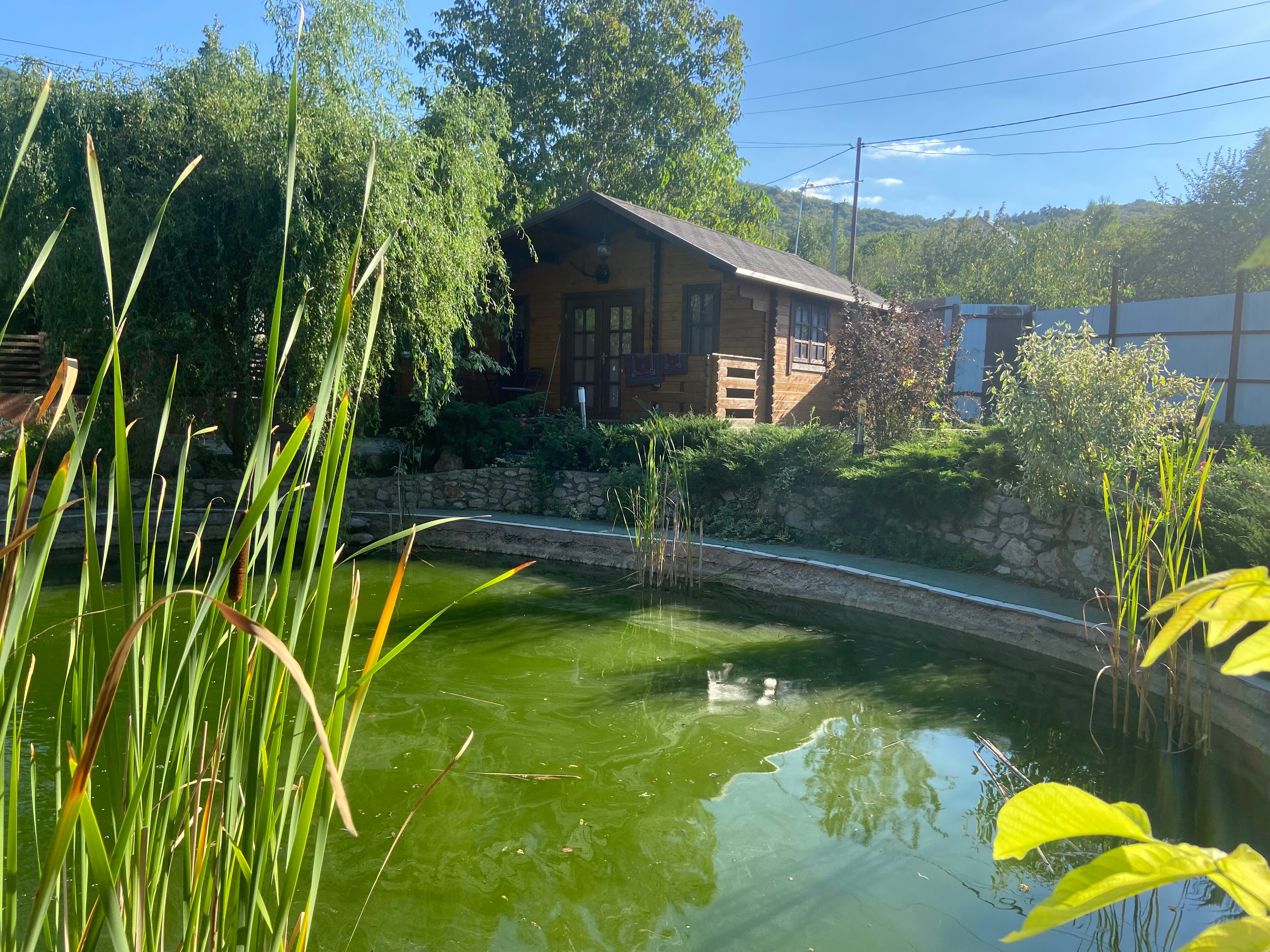 Фото Садовая дача Мраморная