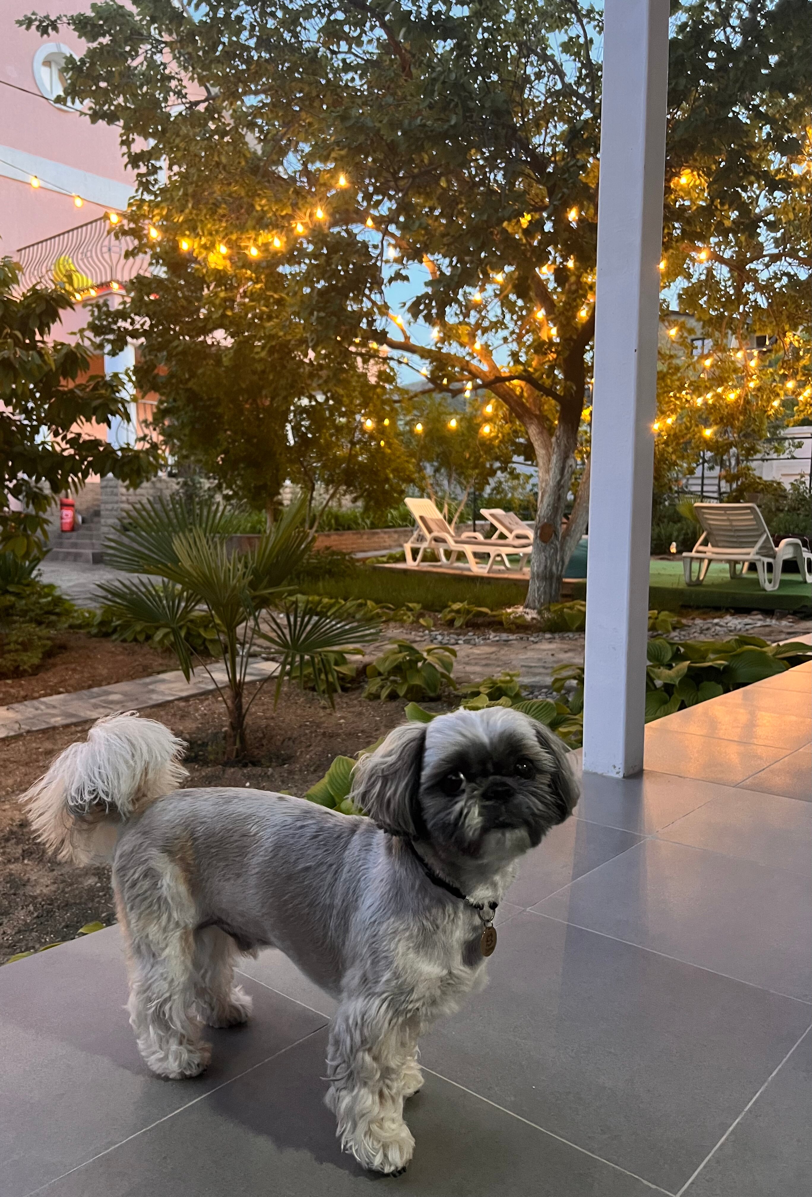 Фото Семейная атмосфера