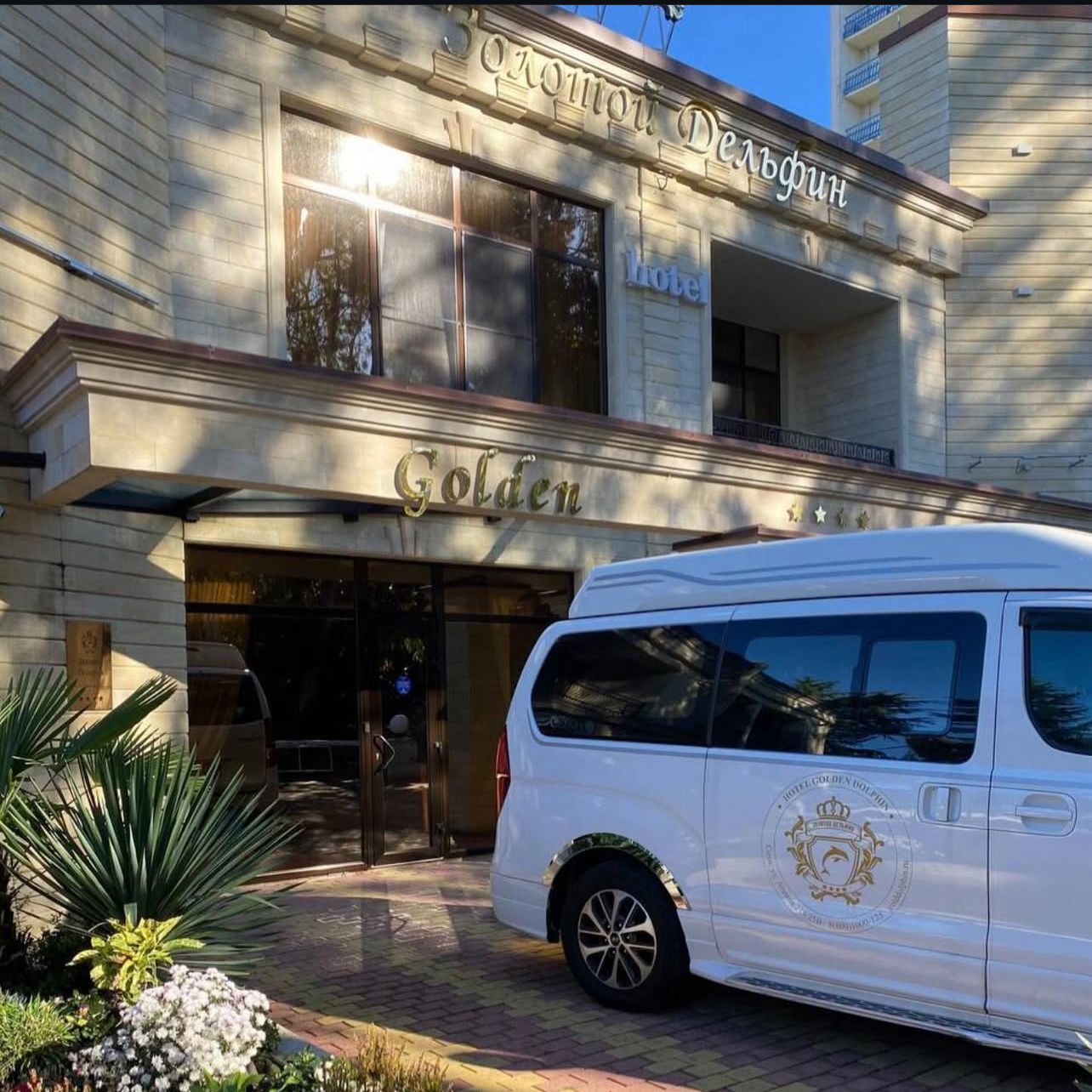 Фото Золотой дельфин