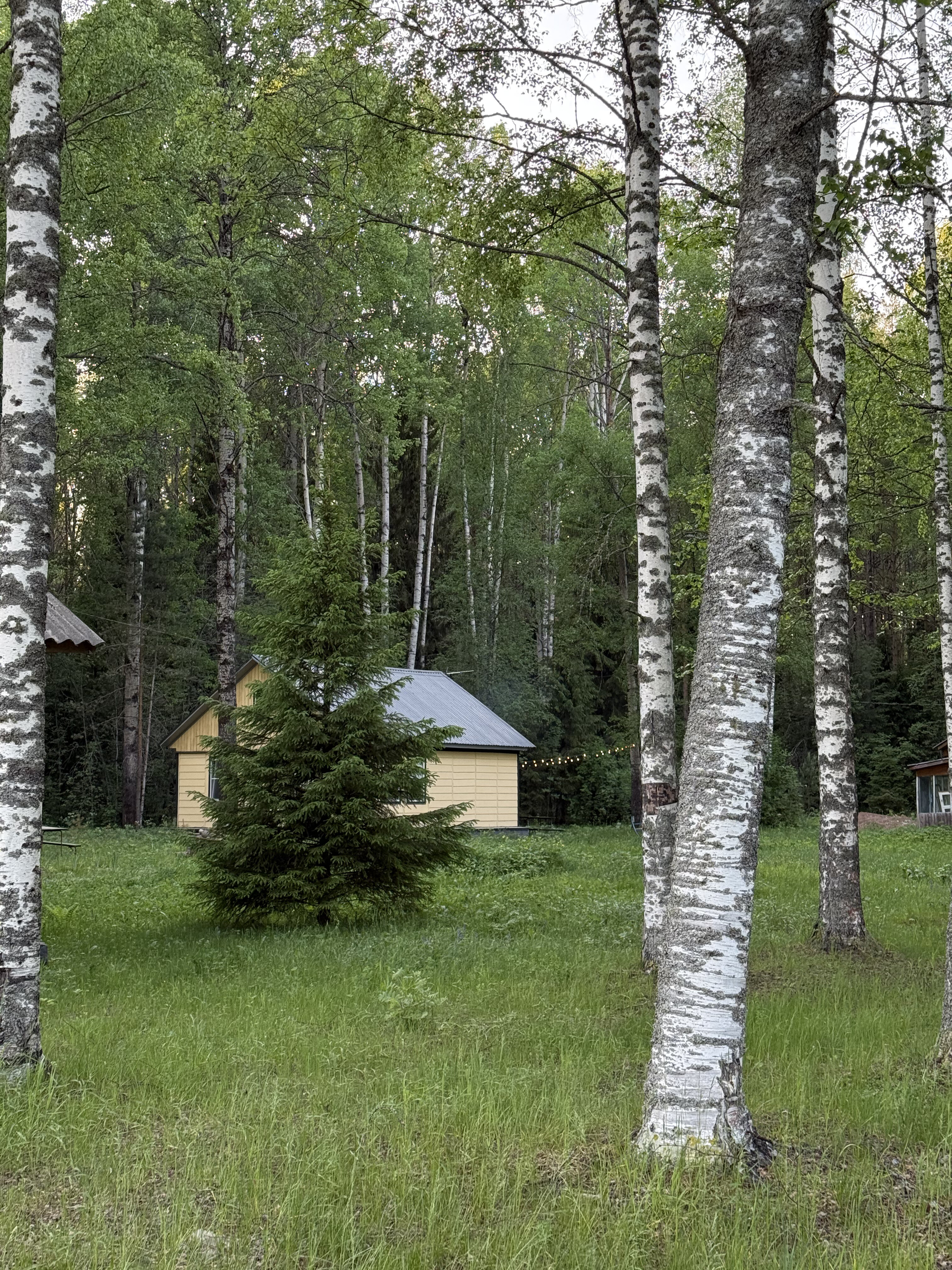 Фото Сибирянка