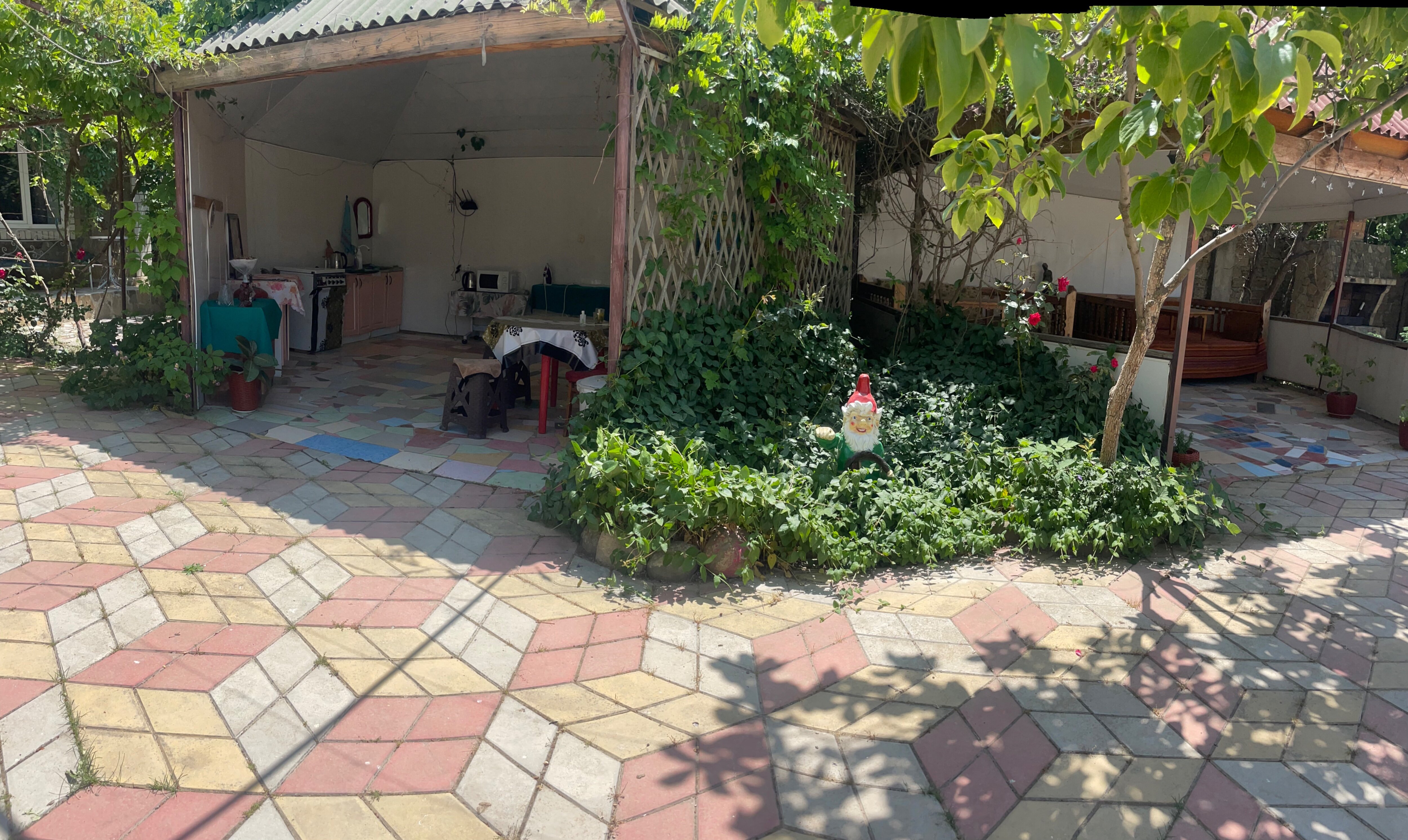 Фото Эльвира