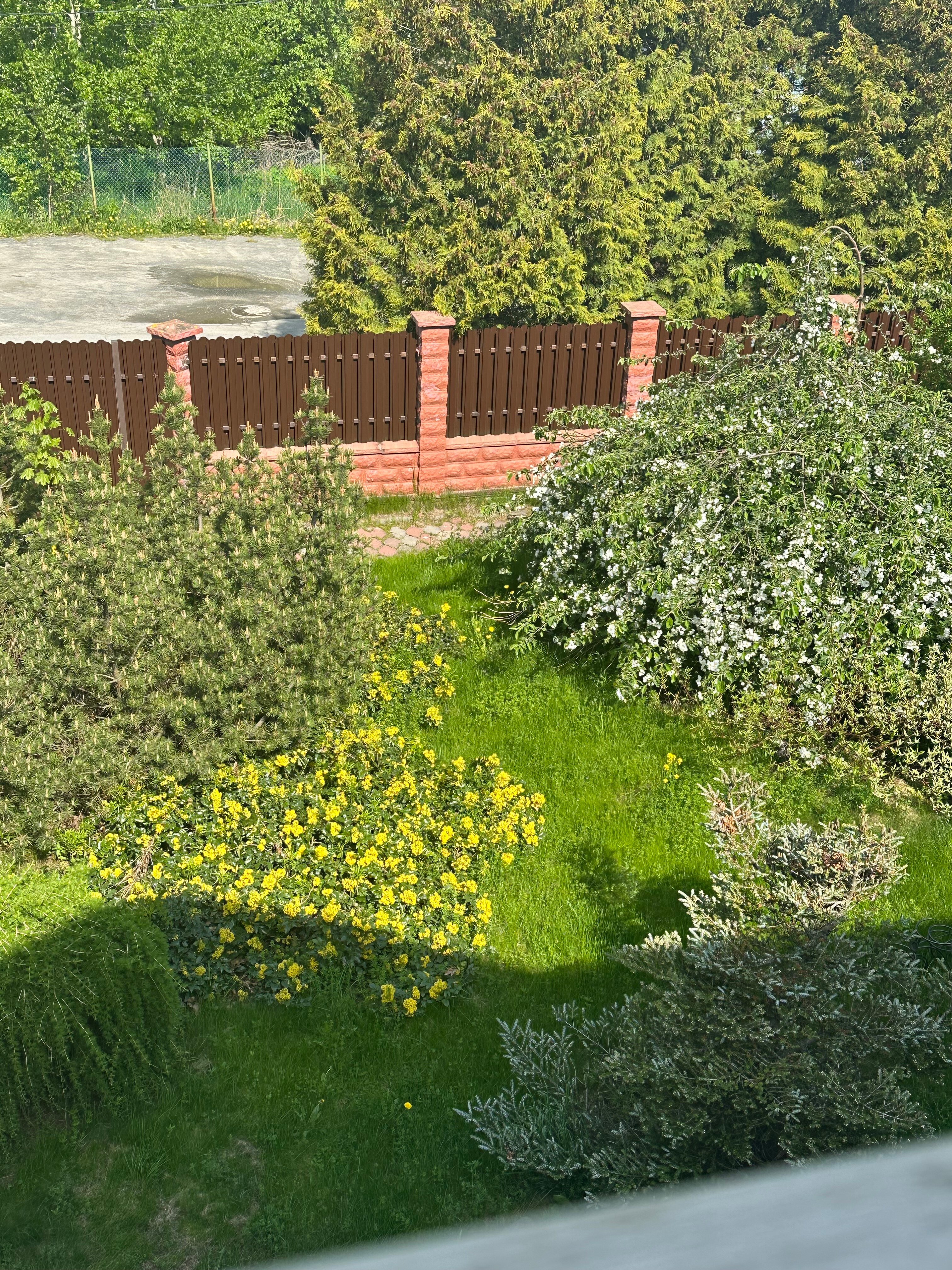 Фото 13 Стульев