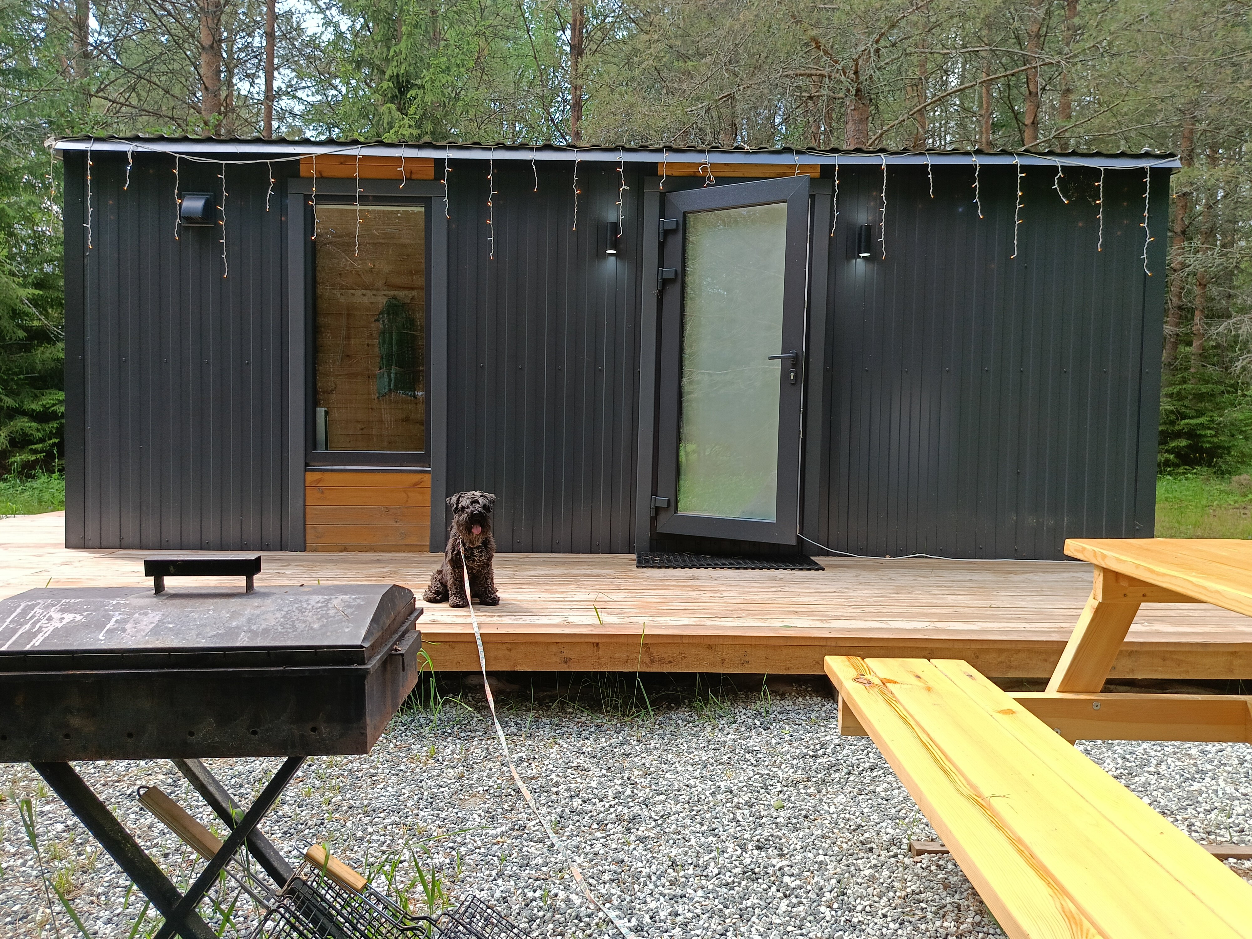 Фото Сибирянка