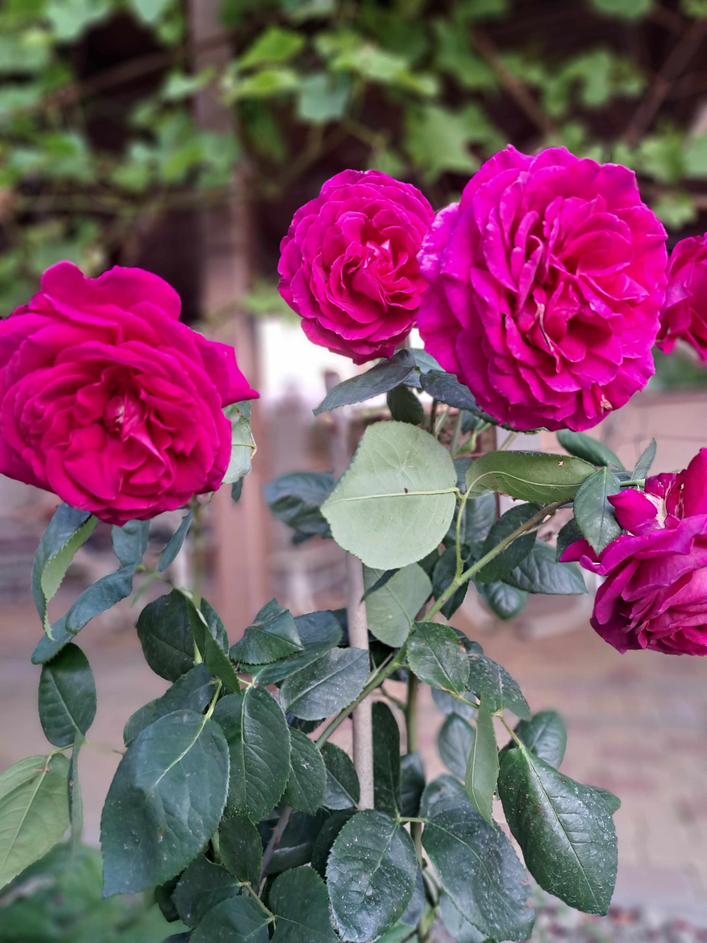 Фото Неолит