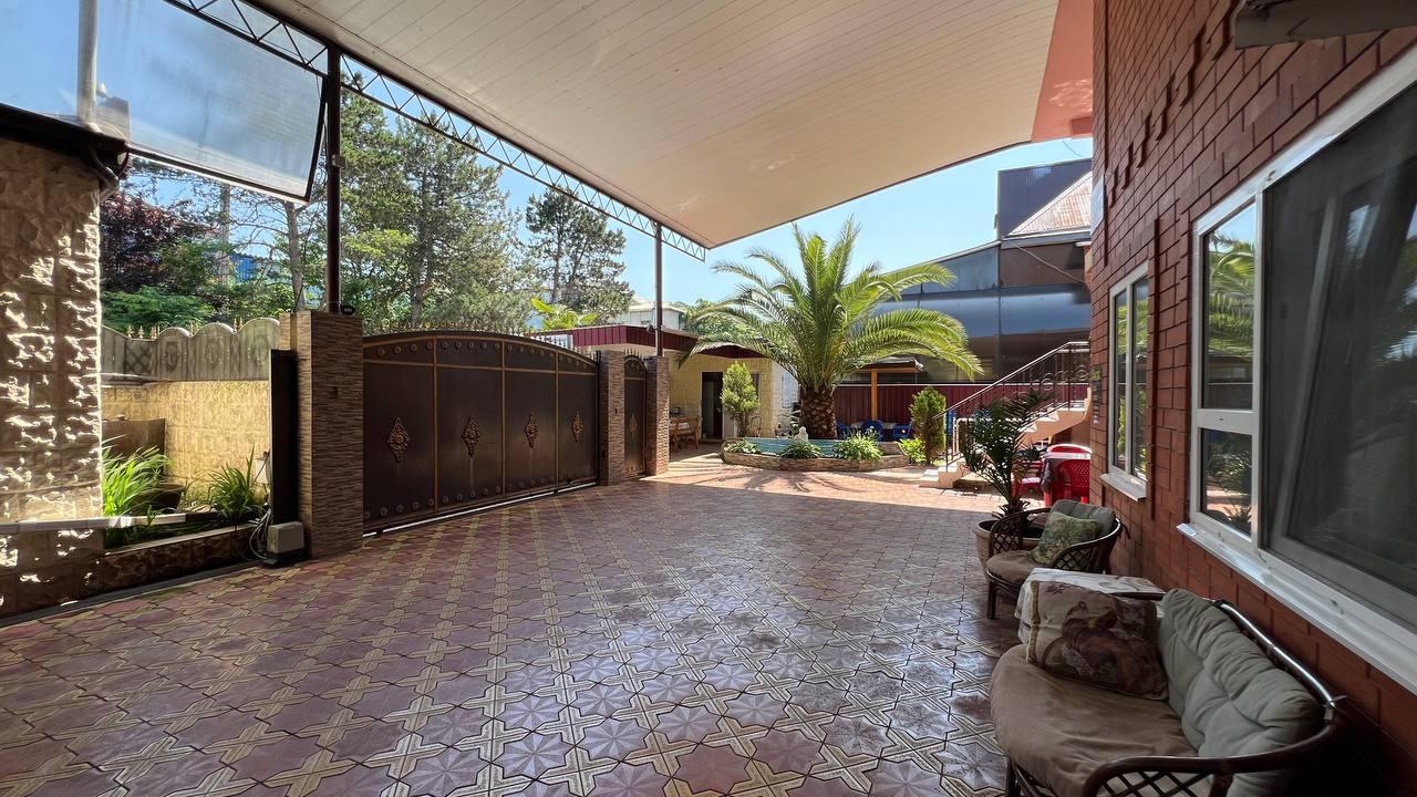 Фото Камелия