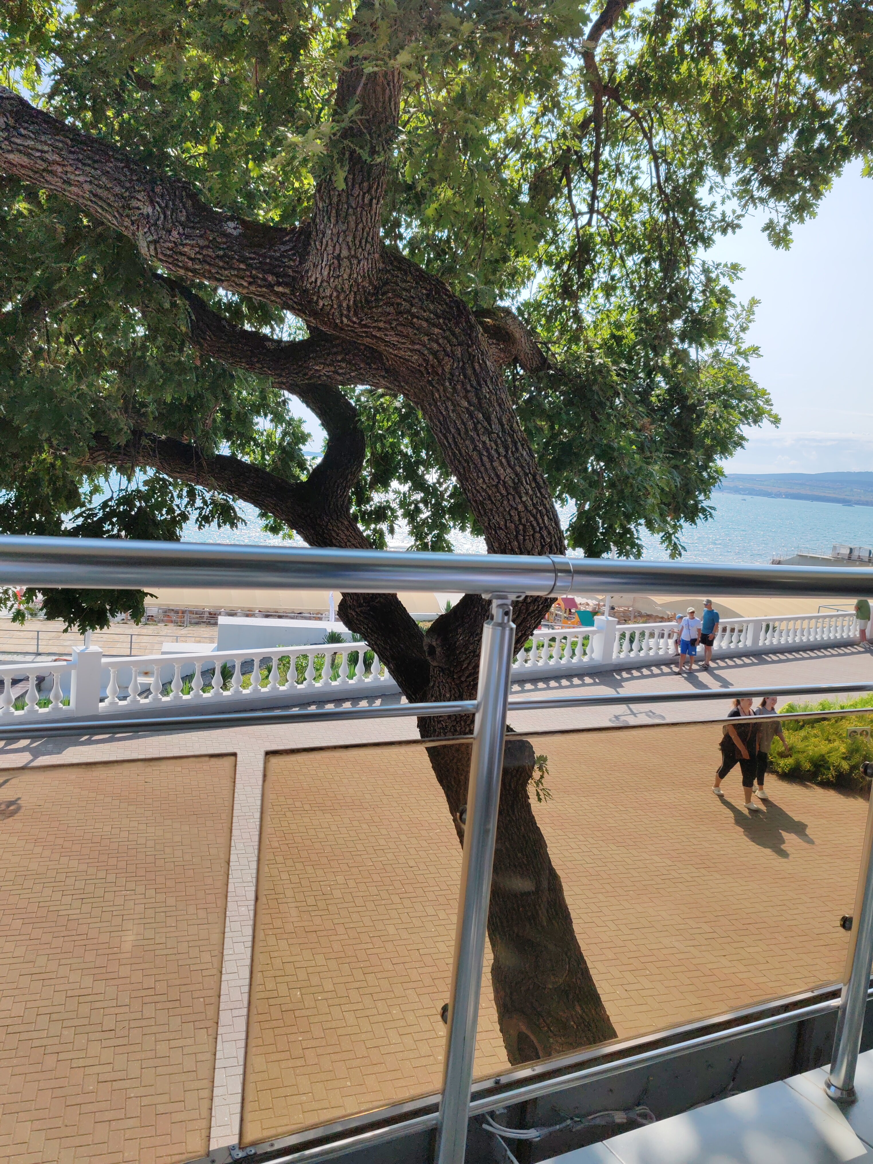 Фото Рони Шелтер