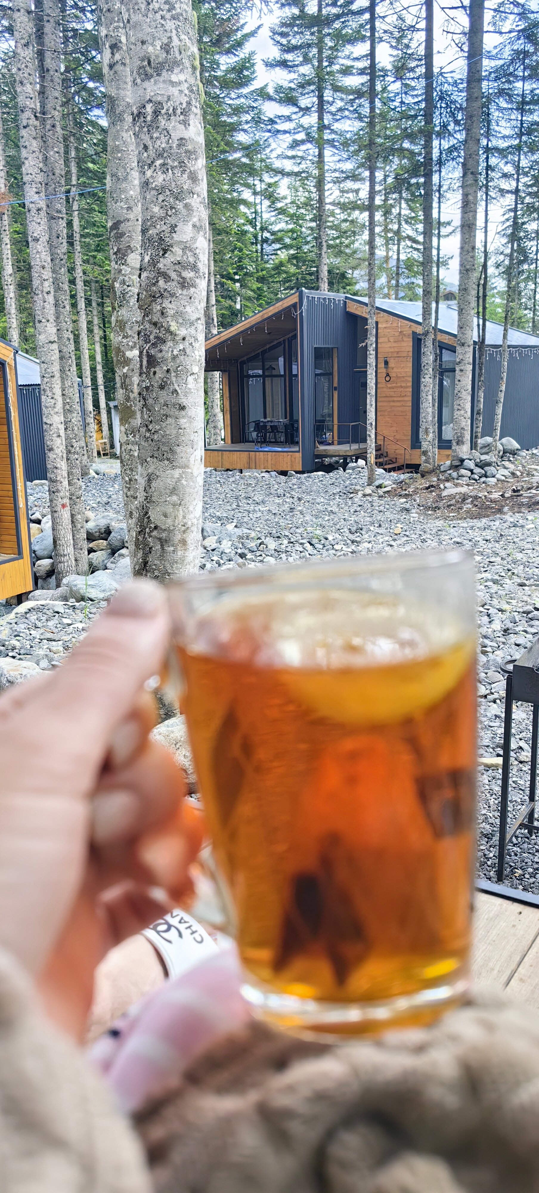 Фото Dombay Paradise