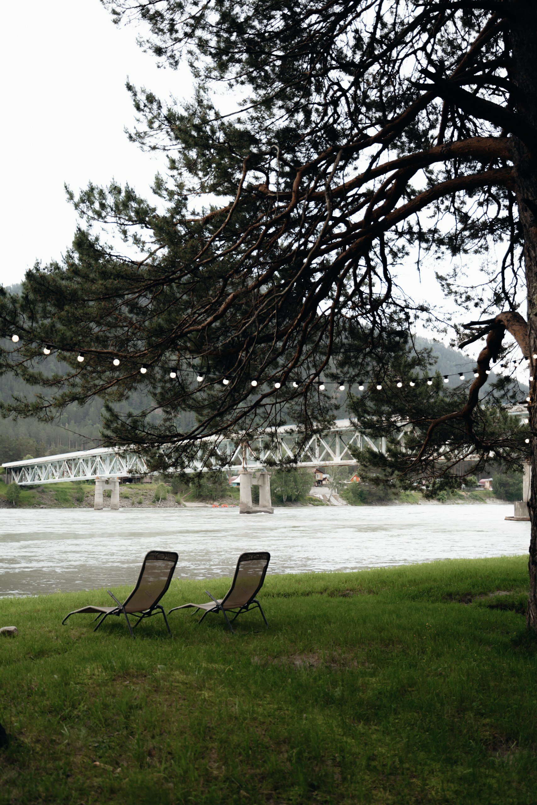 Фото Камышла Парк