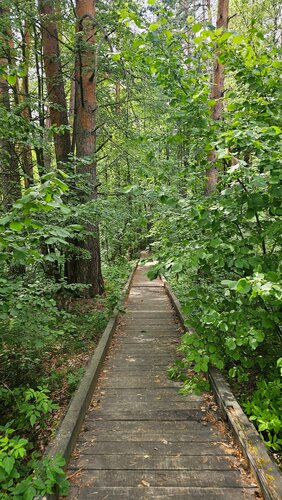 Museum Reserved Mordovia, Mordovian State Nature Reserve named after P.G. Smidovich, Republic of Mordovia, photo
