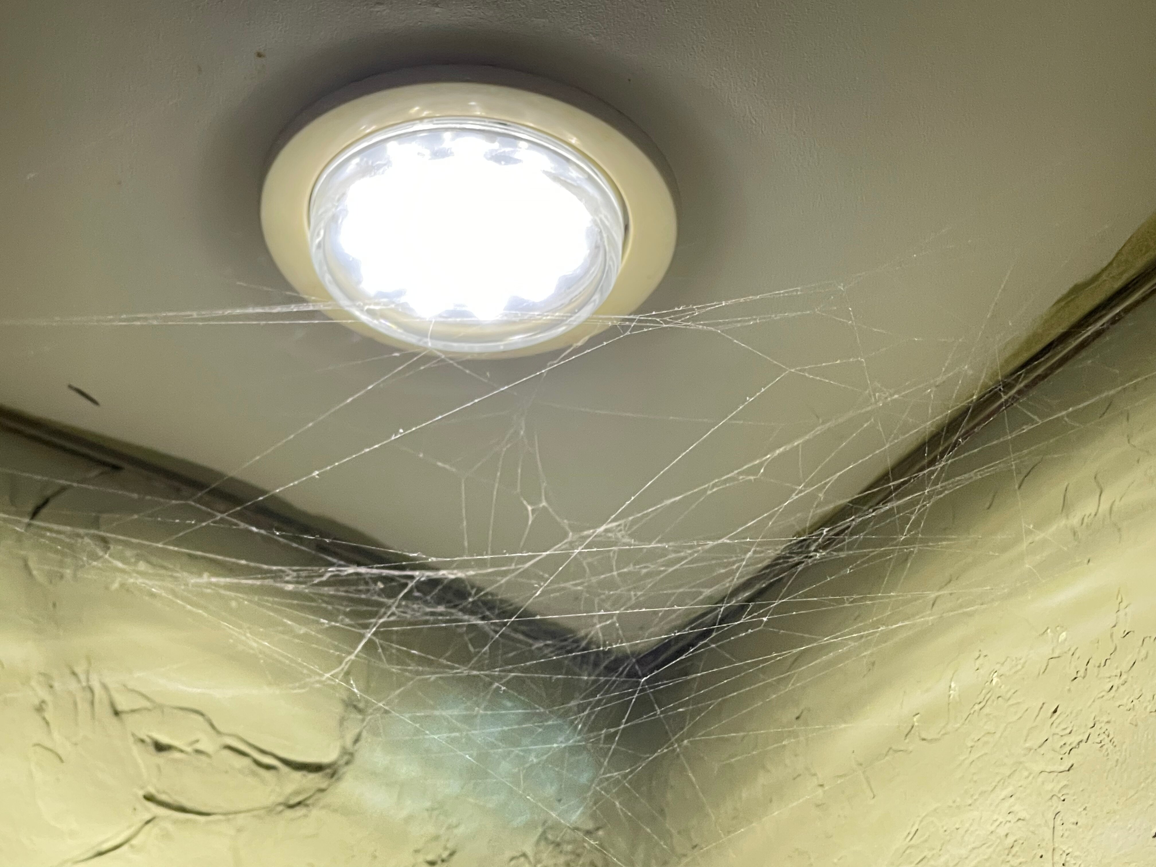 Фото Атмосфера