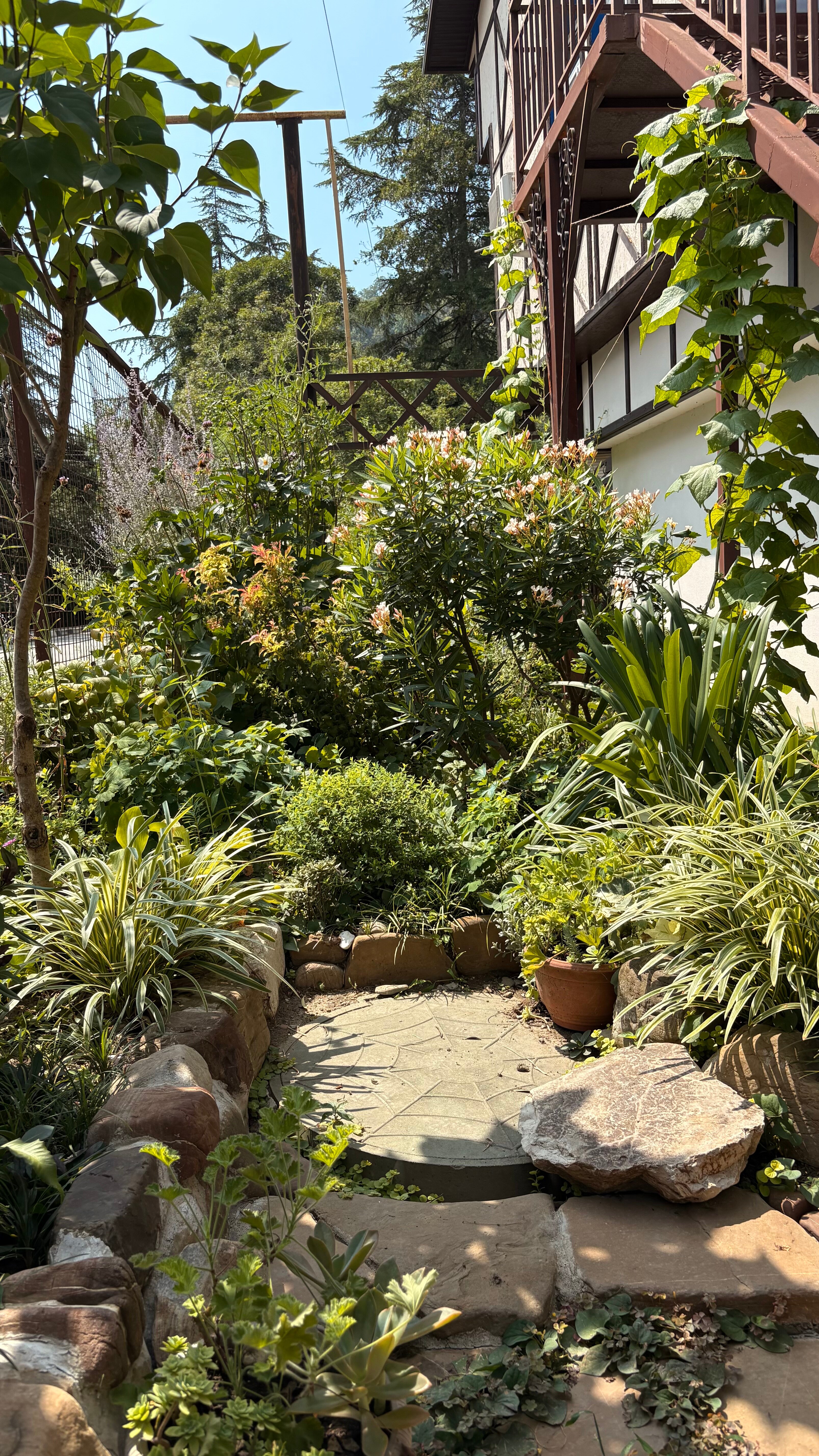 Фото Мацеста Береговая