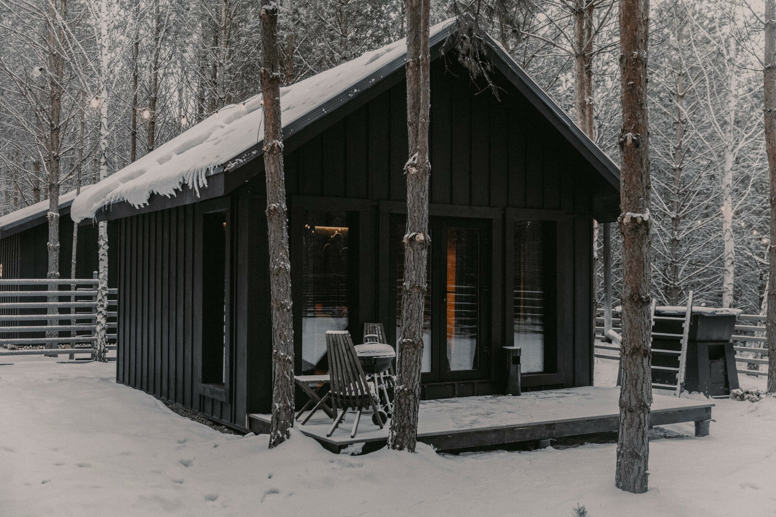 Фото Место под соснами