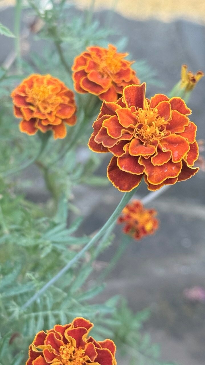 Фото В гостях у моря