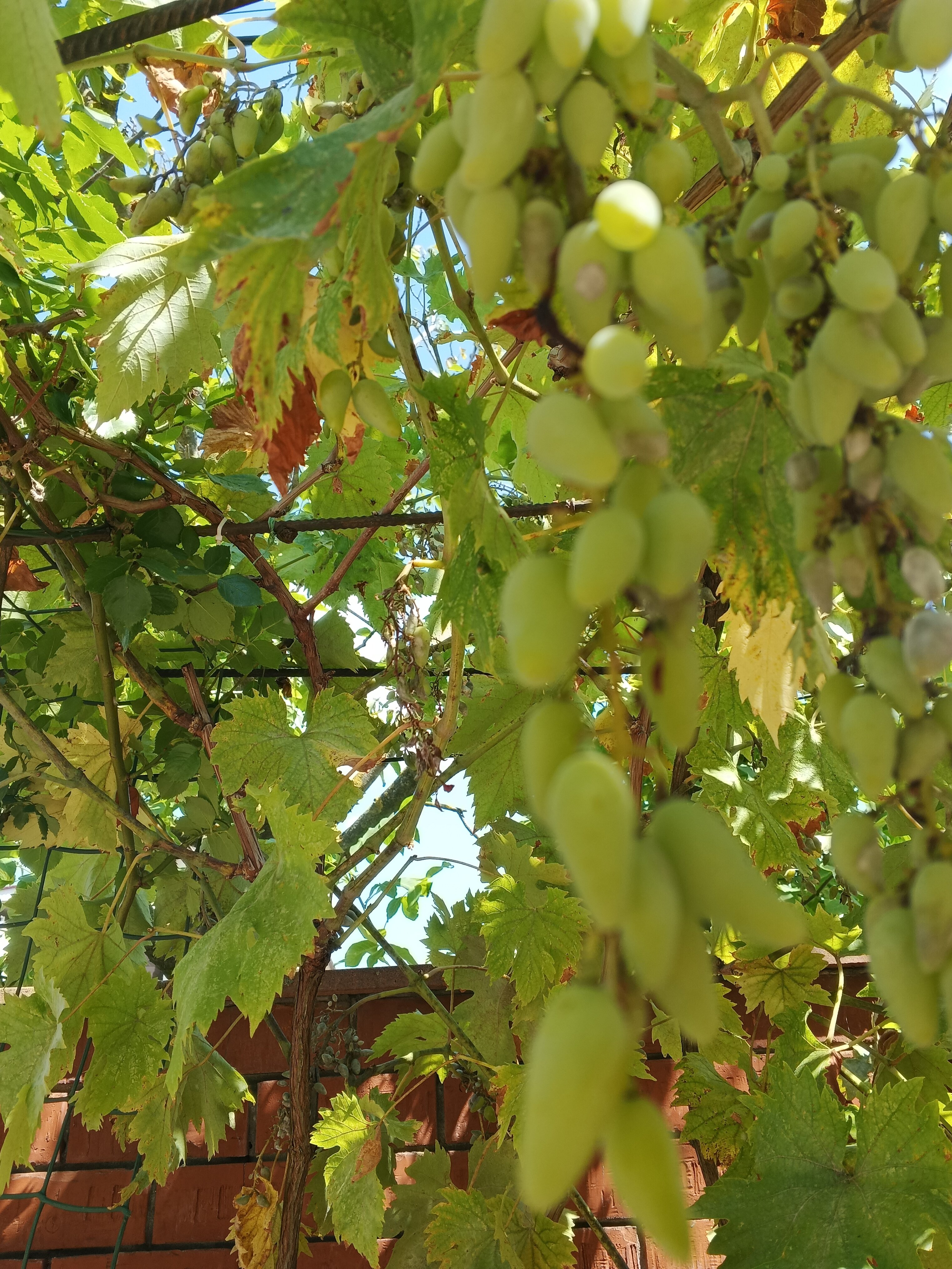 Фото Эллада