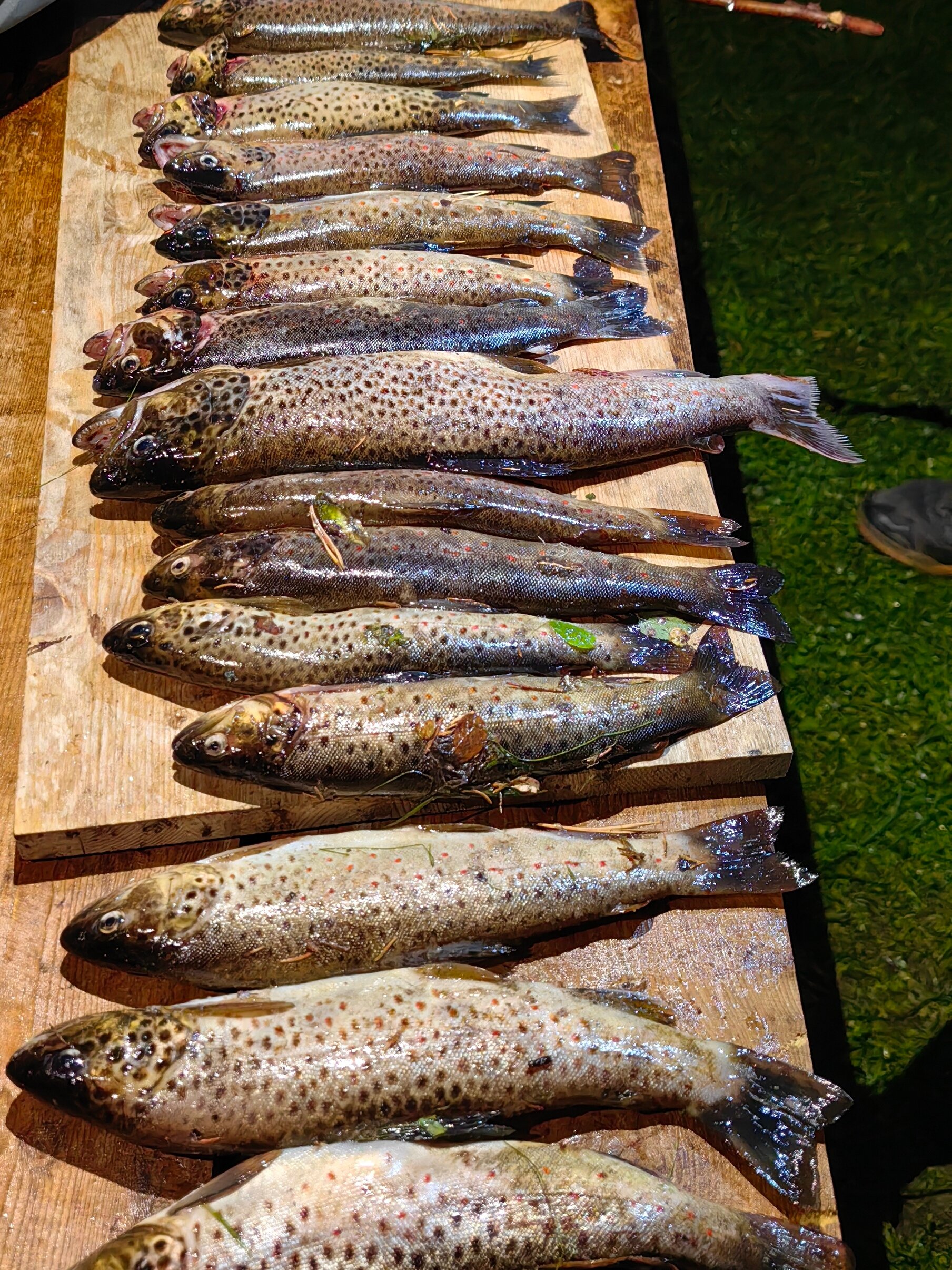 Фото Белый кит