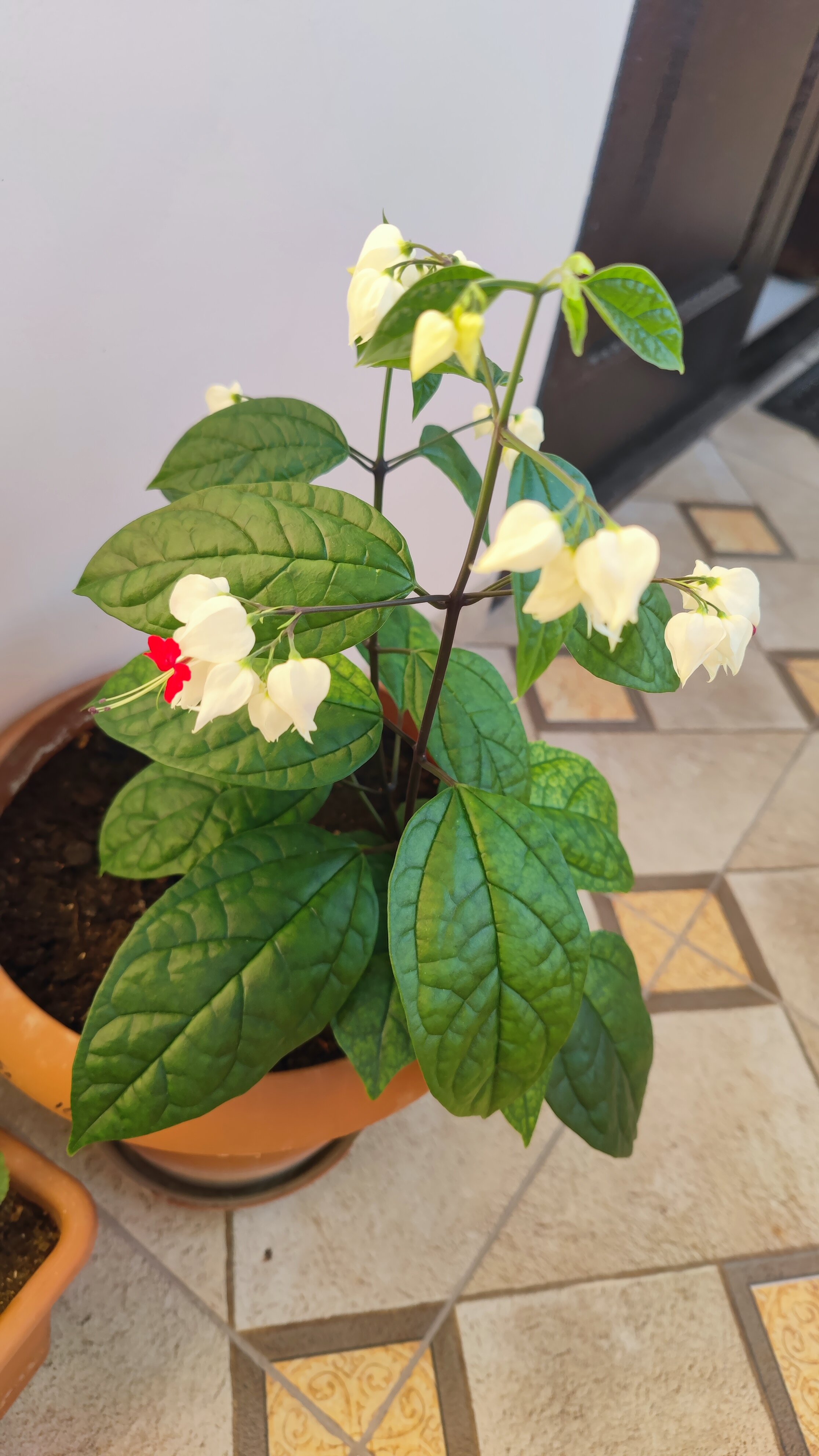 Фото Гостевой дом у Руслана