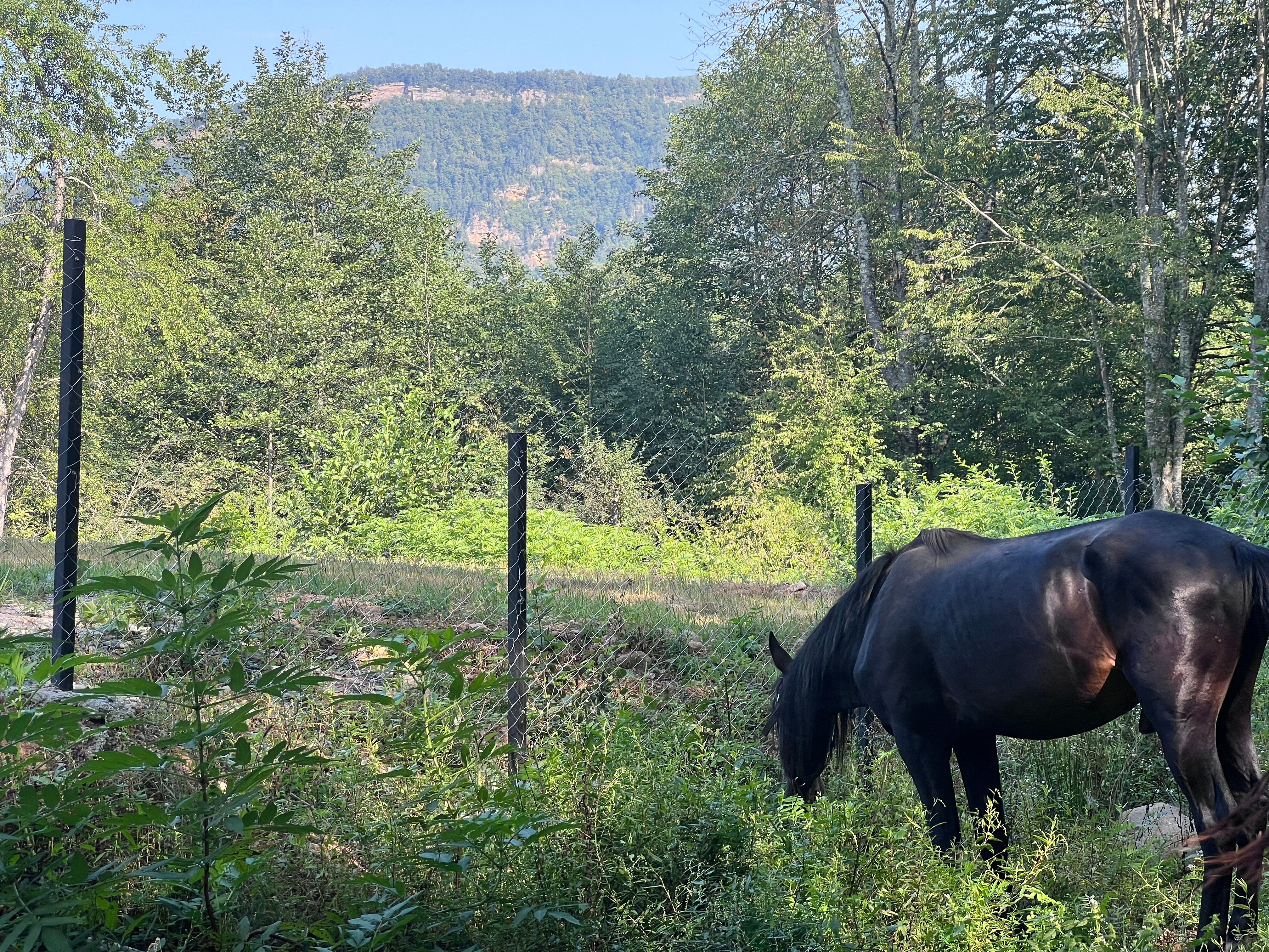 Фото Рассвет в горах