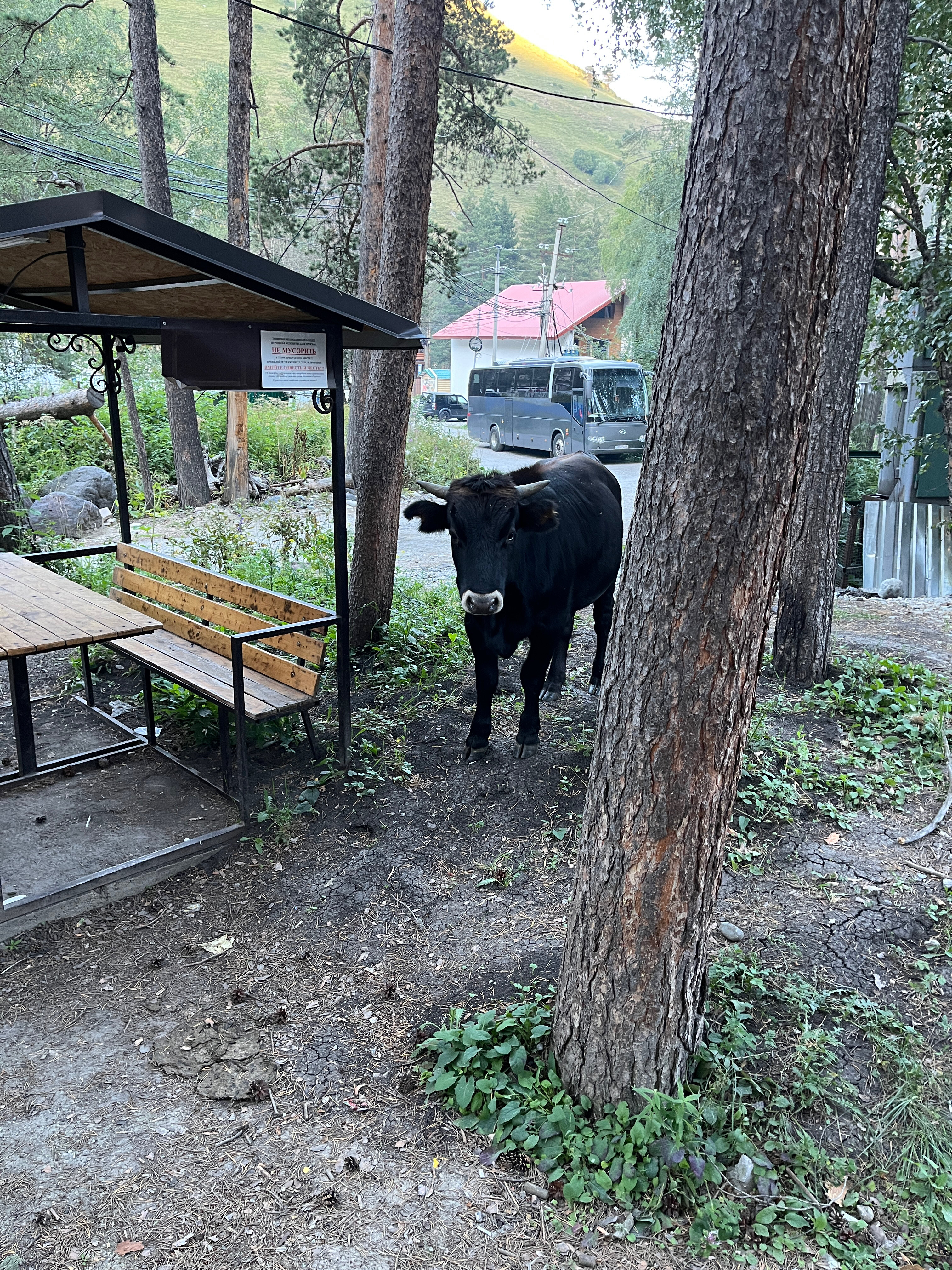 Фото Две Вершины