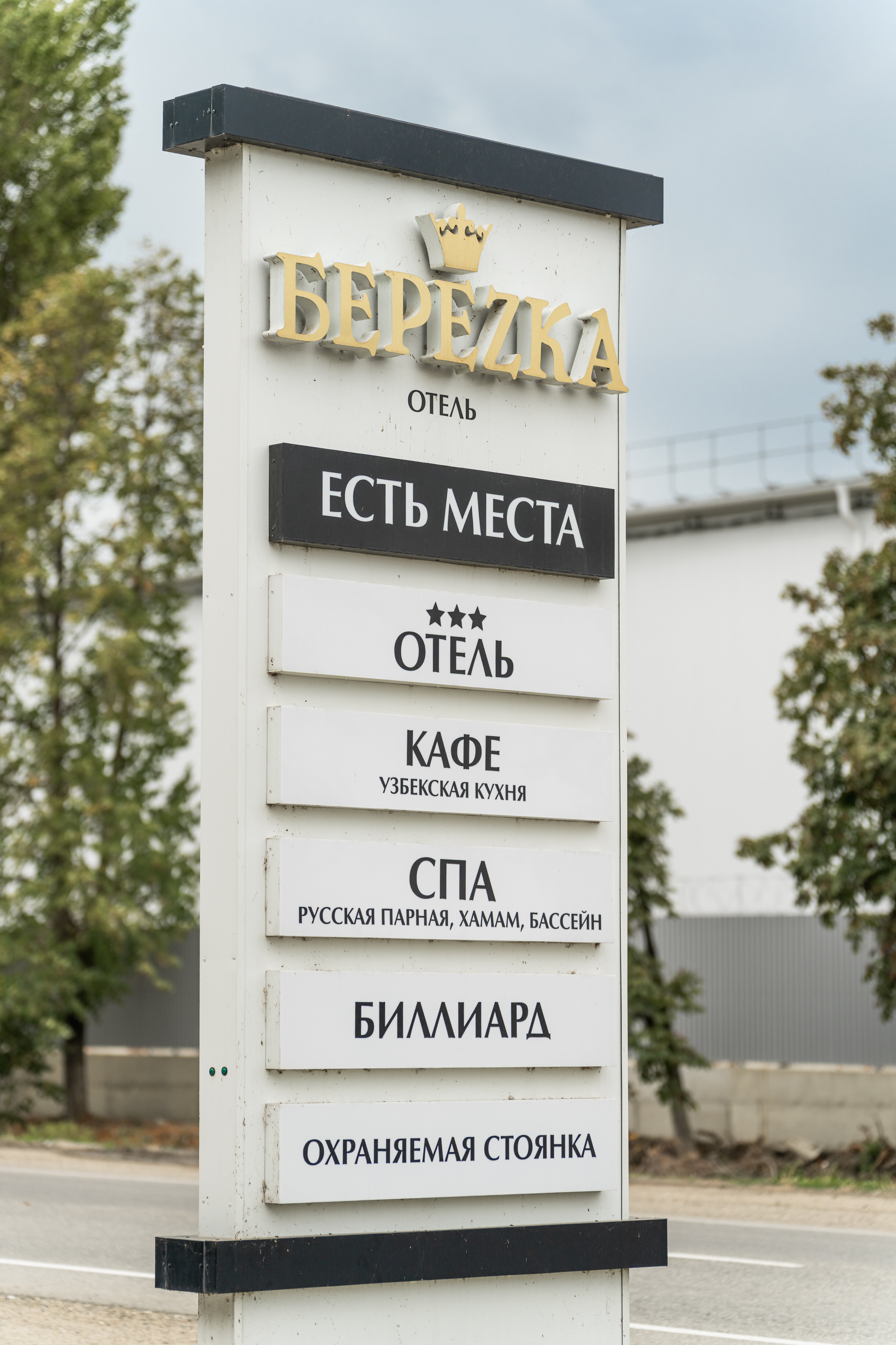 Фото Березка