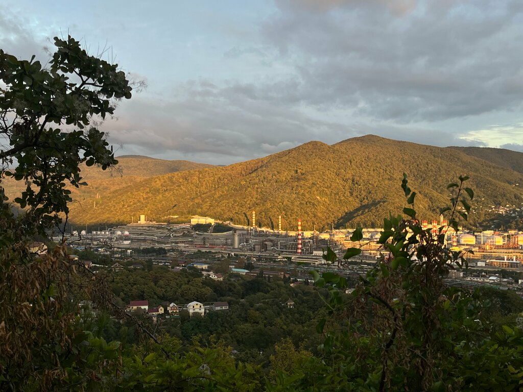 Nature reserve Varvarinka Forest Park, Tuapse, photo