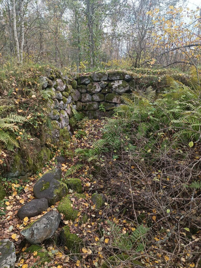 Landmark, attraction Ancient Settlement of Tiversk, Saint‑Petersburg and Leningrad Oblast, photo