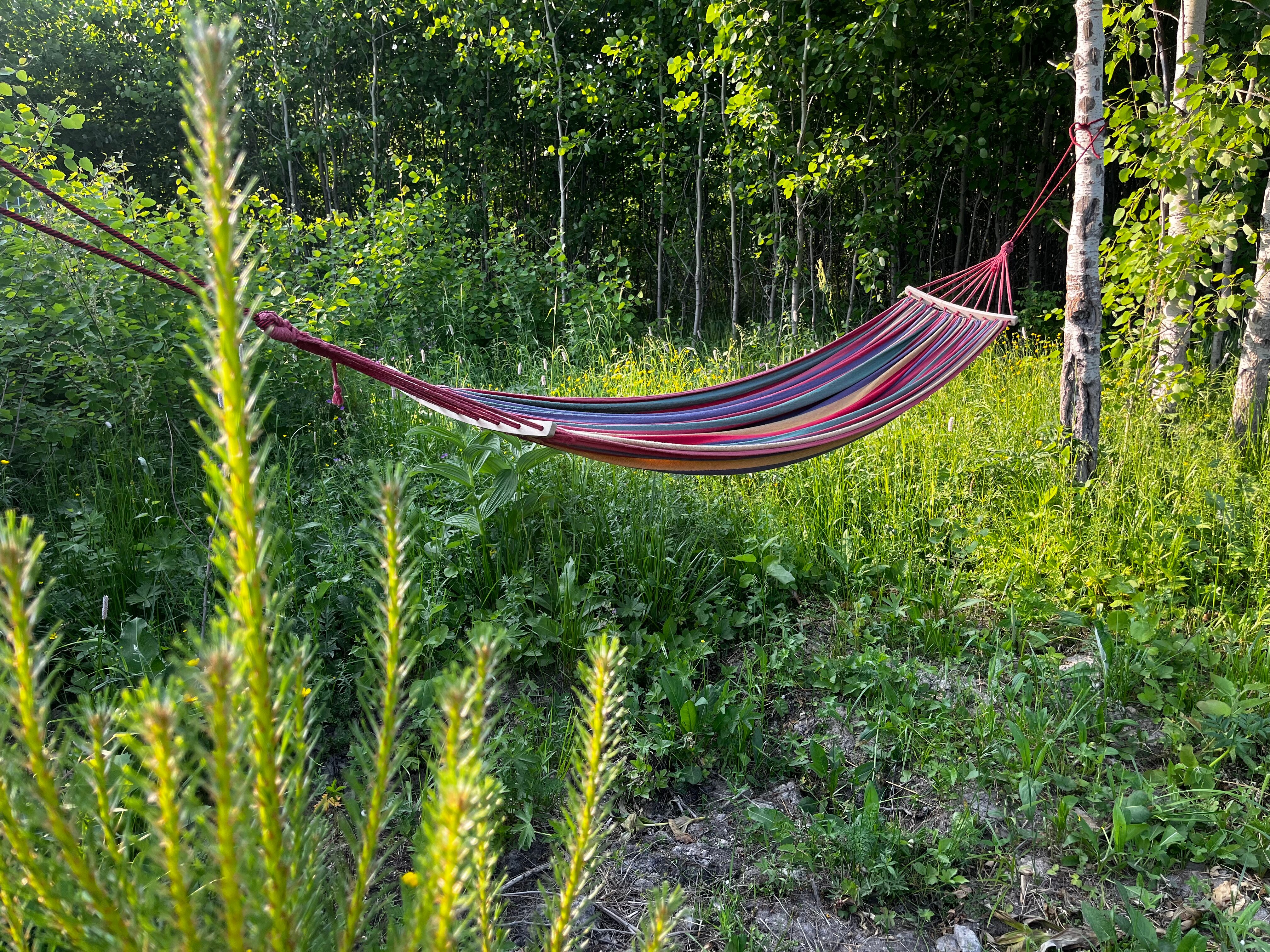 Фото Ural Village 96