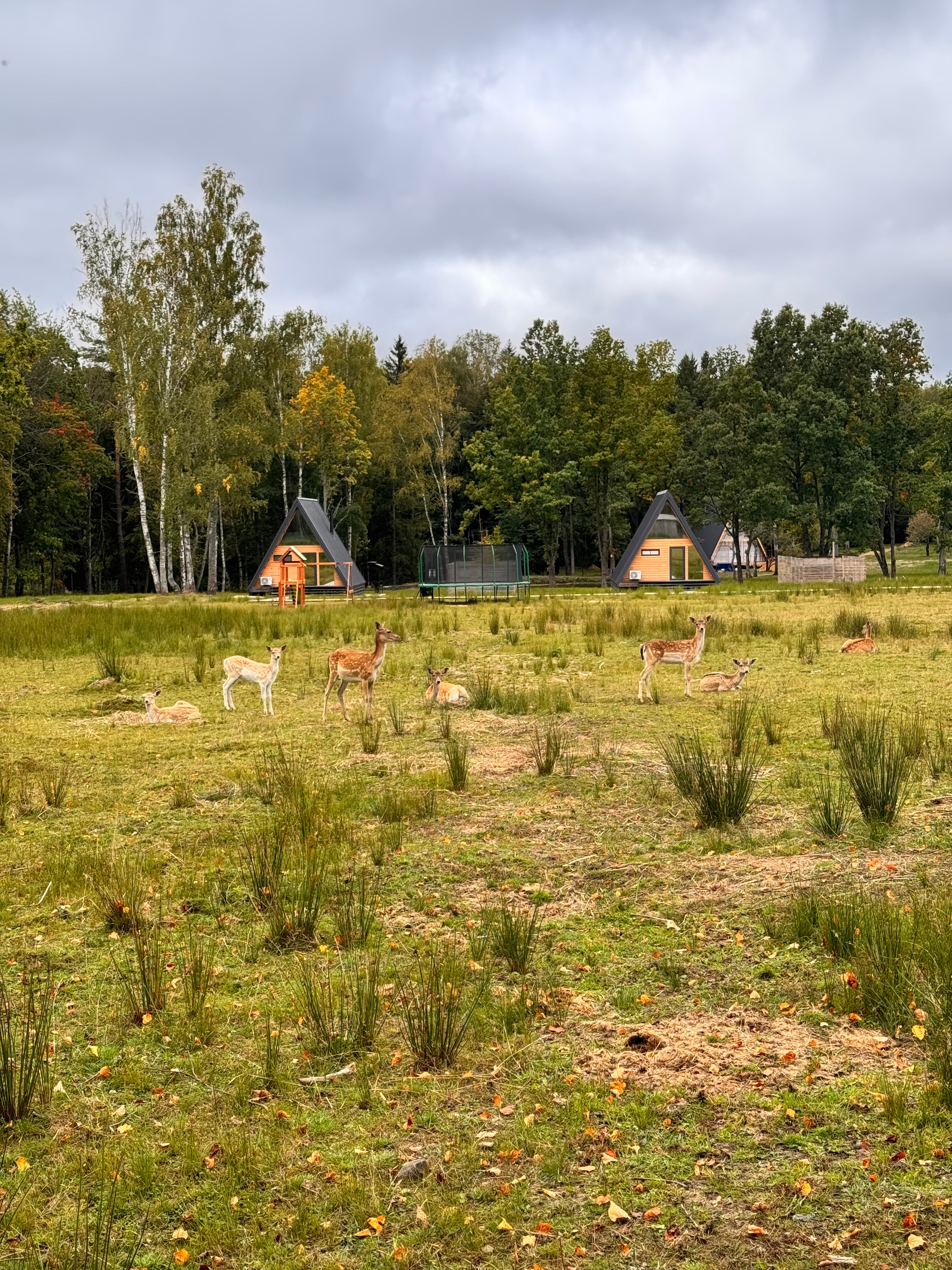 Фото Дом Лани