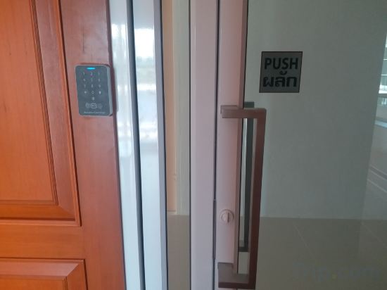 Фото Saney Apartment