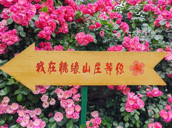 Фото Floral Hotel·Wuxi Yangshan taoyuan Hotel